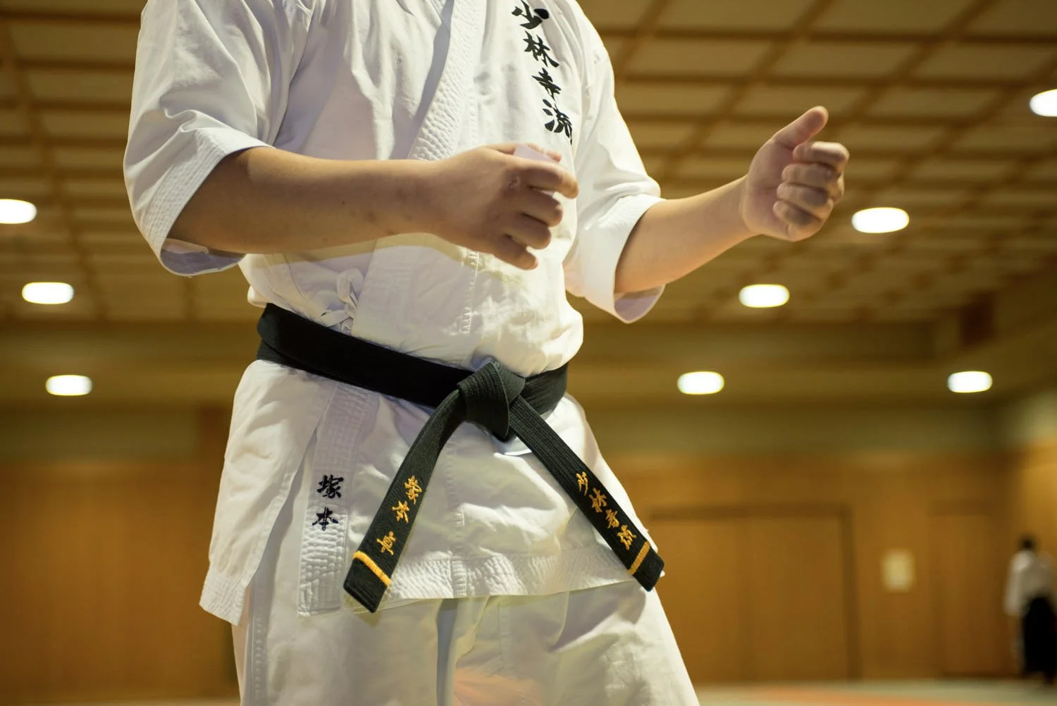 3-tokyo_karate_shorinjiryu_227.jpg