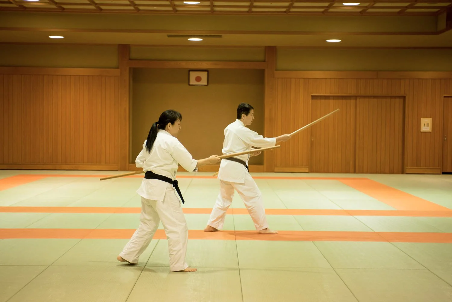 5-tokyo_karate_shorinjiryu_250.jpg