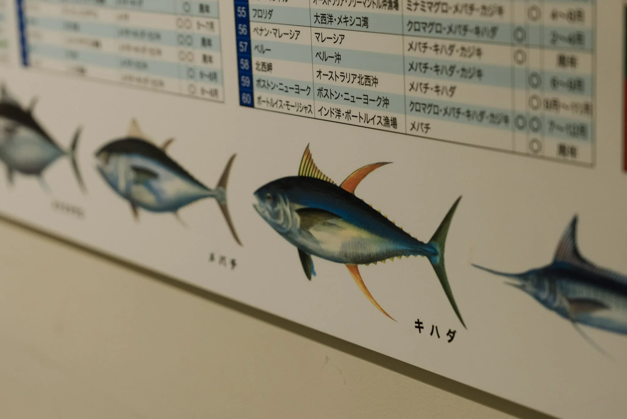 2-Toyosu_market_tour_004.jpg