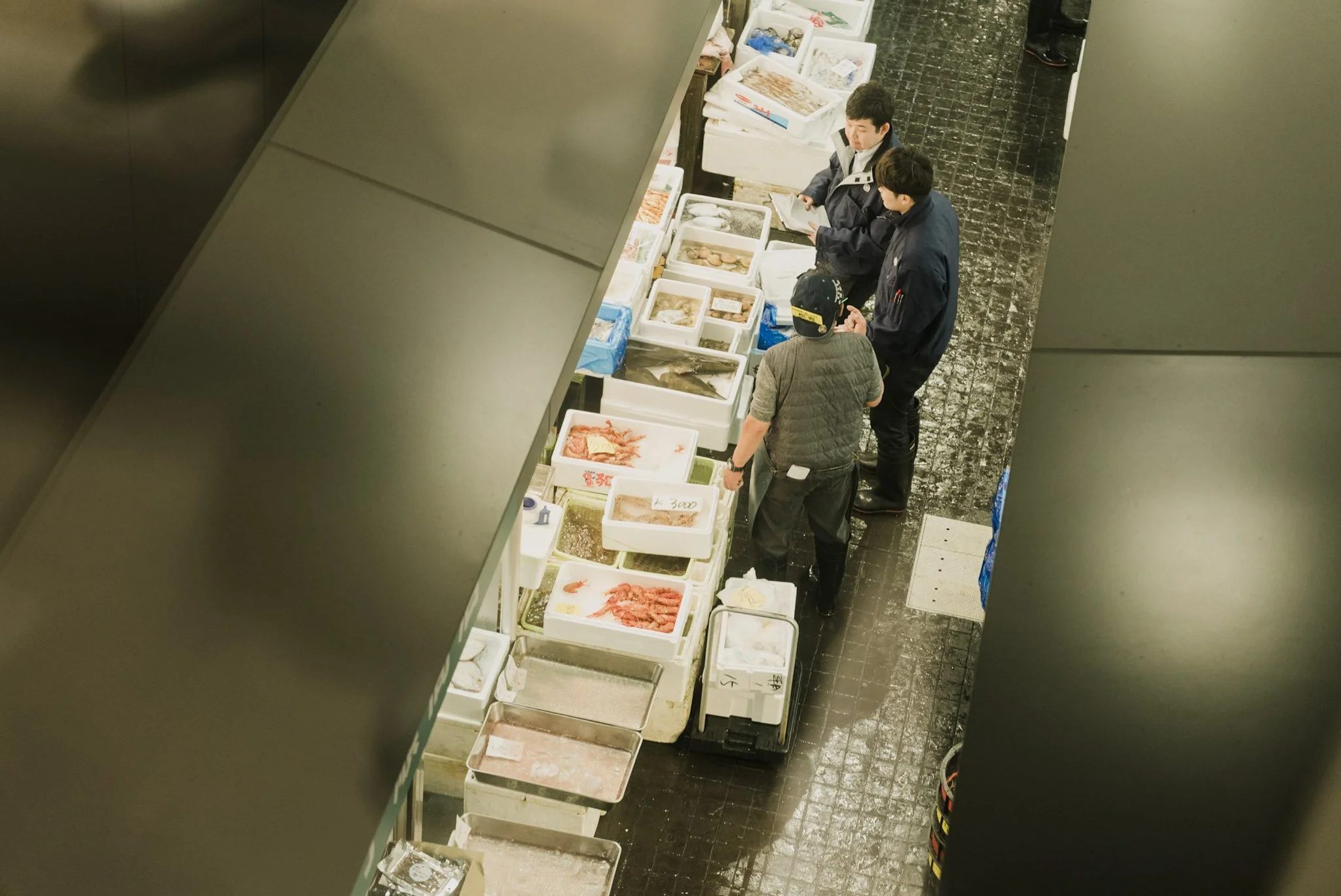 3-Toyosu_market_tour_006.jpg
