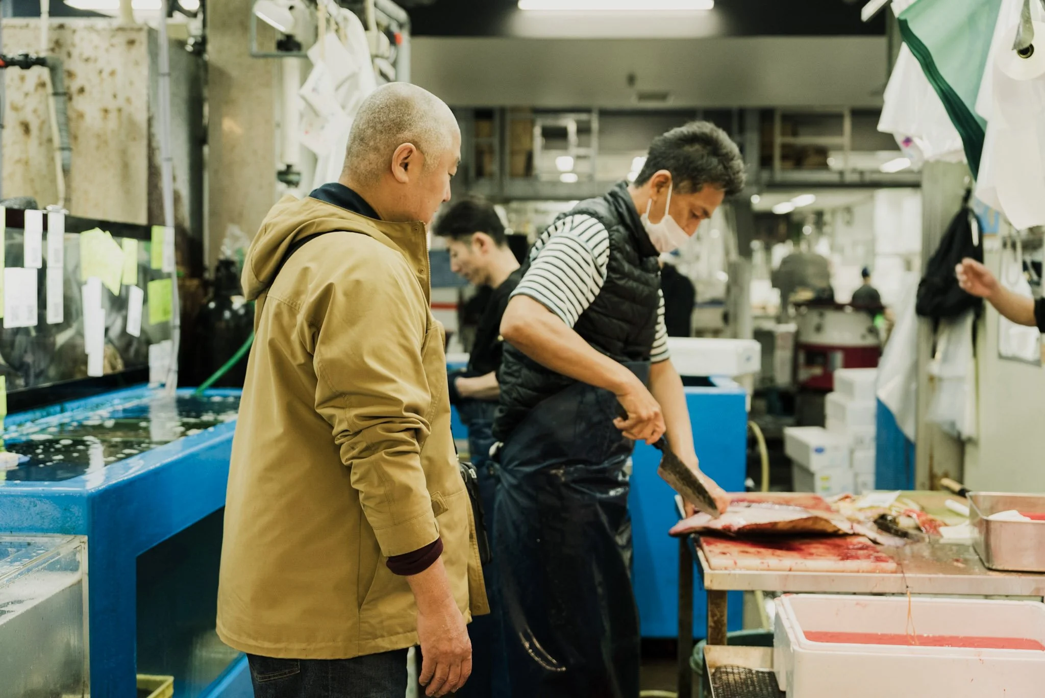 8-Toyosu_market_tour_029.jpg