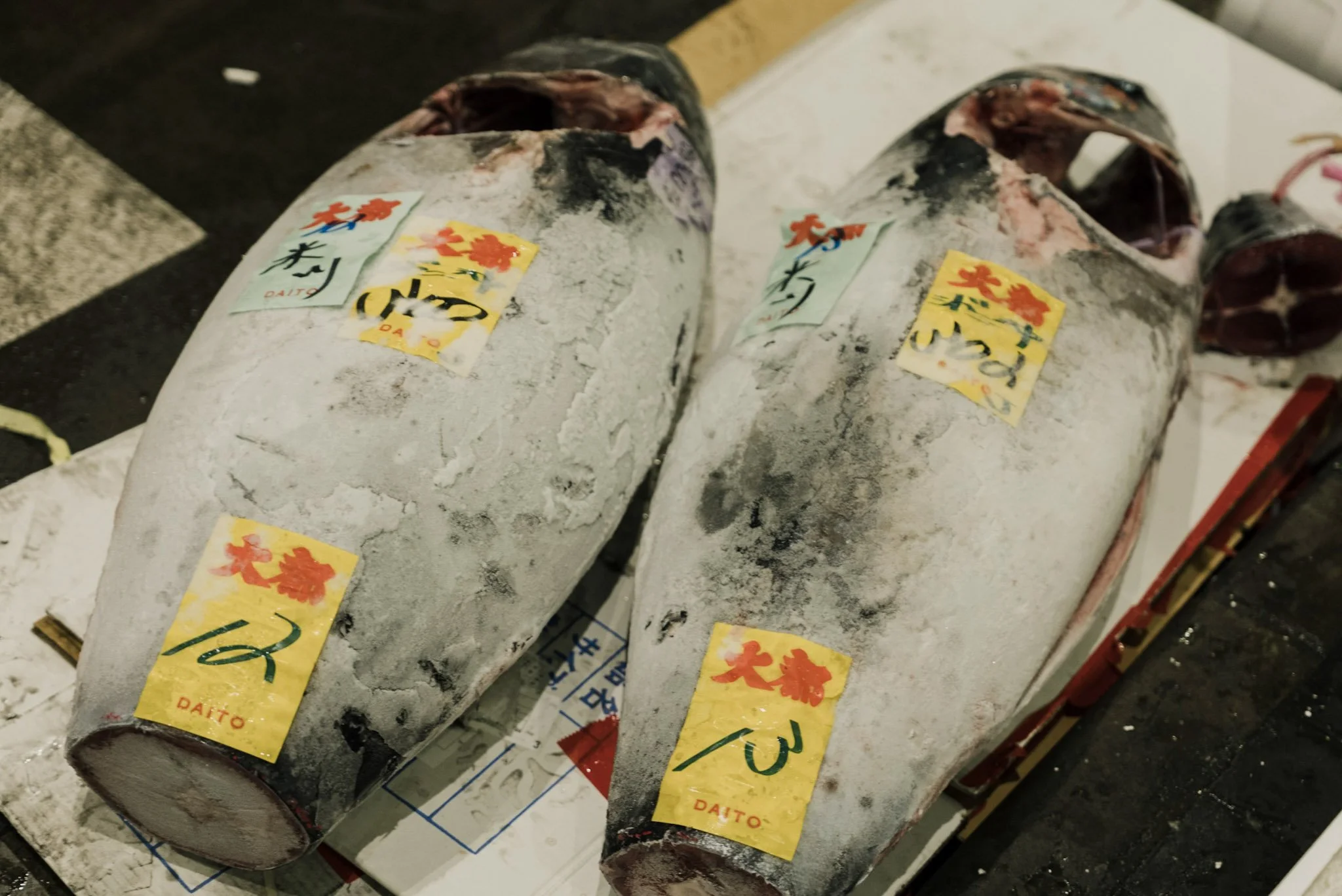 9-Toyosu_market_tour_031.jpg