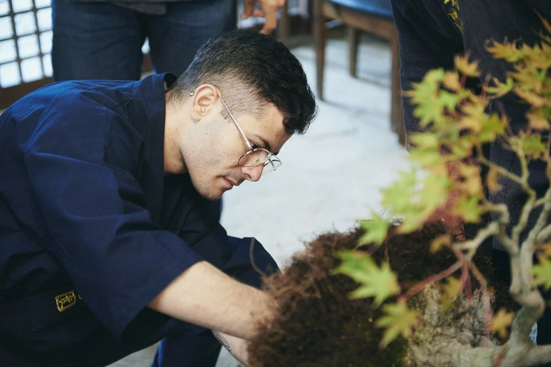10-DeeperJapan_Tokyo_Bonsai_048.jpg