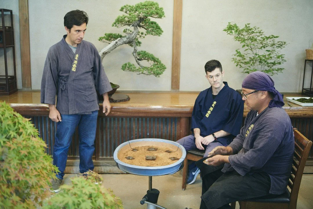 11-DeeperJapan_Tokyo_Bonsai_038.jpg