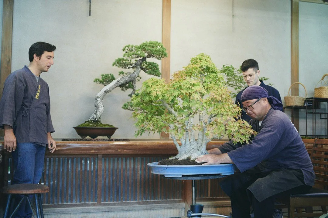 13-DeeperJapan_Tokyo_Bonsai_031.jpg