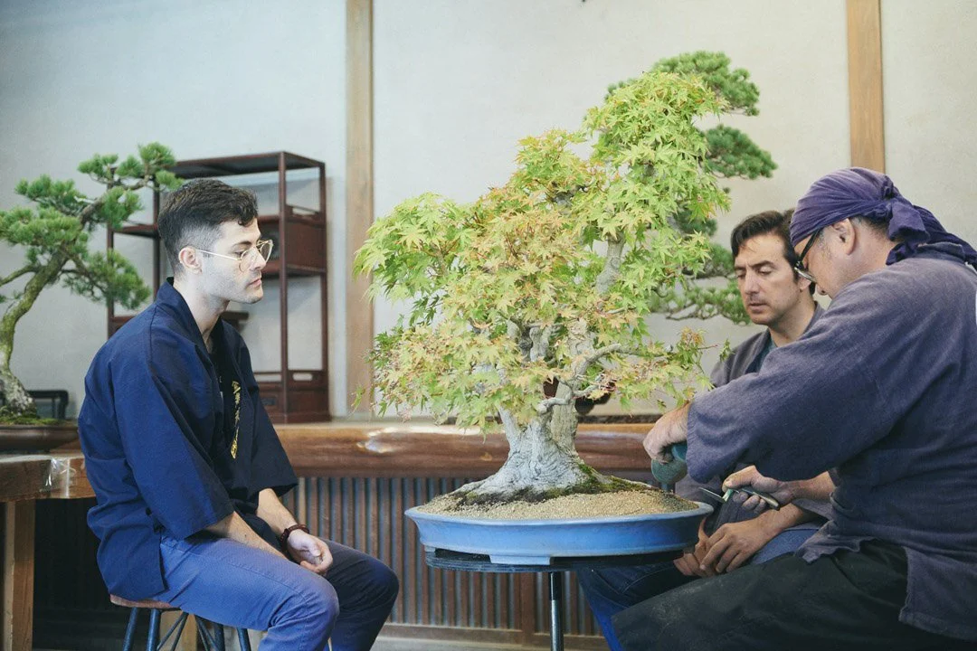 18-DeeperJapan_Tokyo_Bonsai_003.jpg