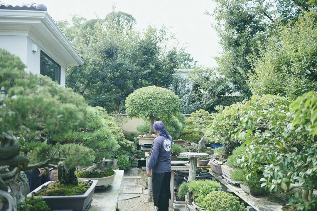 3-DeeperJapan_Tokyo_Bonsai_168.jpg