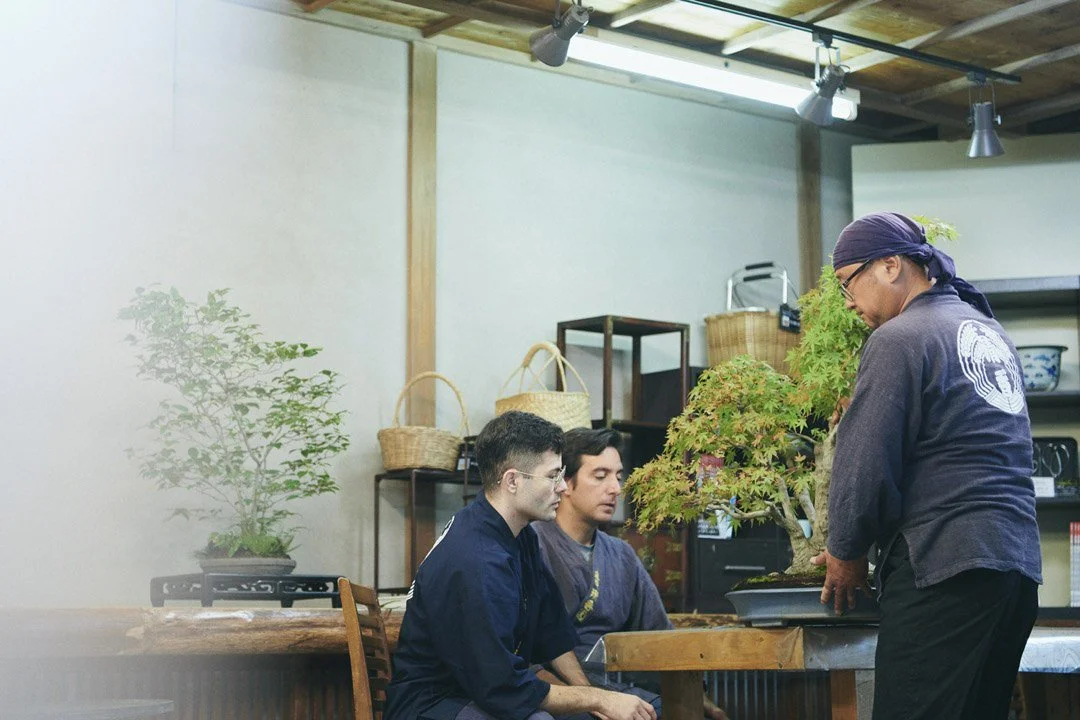 5-DeeperJapan_Tokyo_Bonsai_104.jpg
