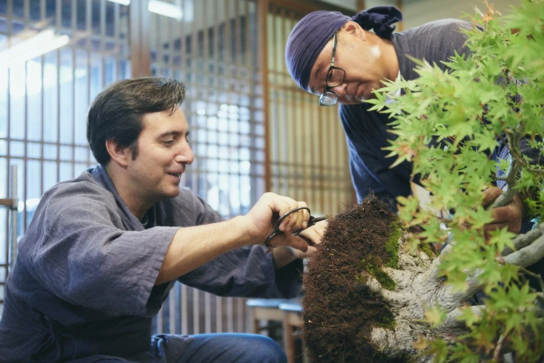 8-DeeperJapan_Tokyo_Bonsai_057.jpg