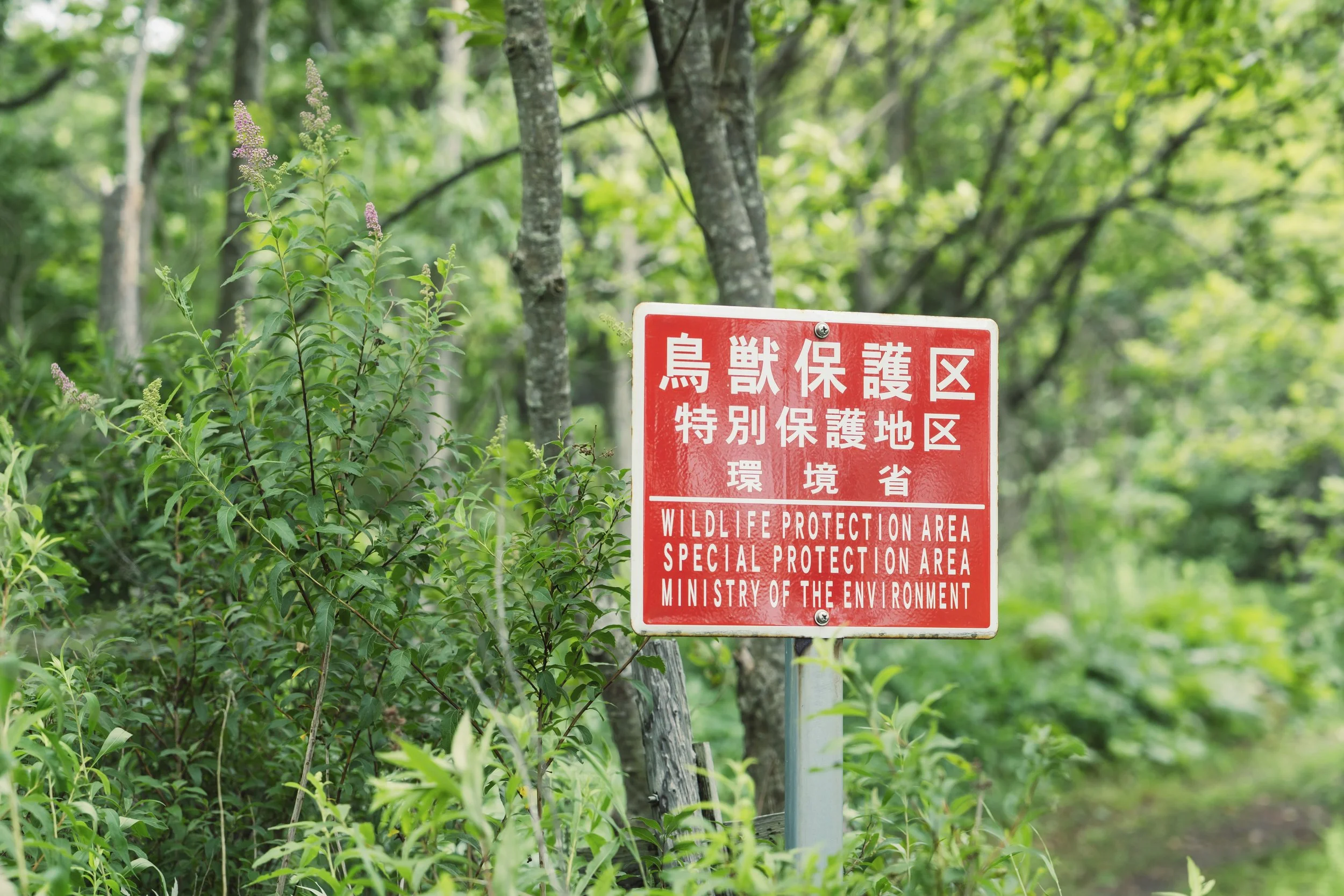 Sapporo_Nature Guide Utonai_111.jpg