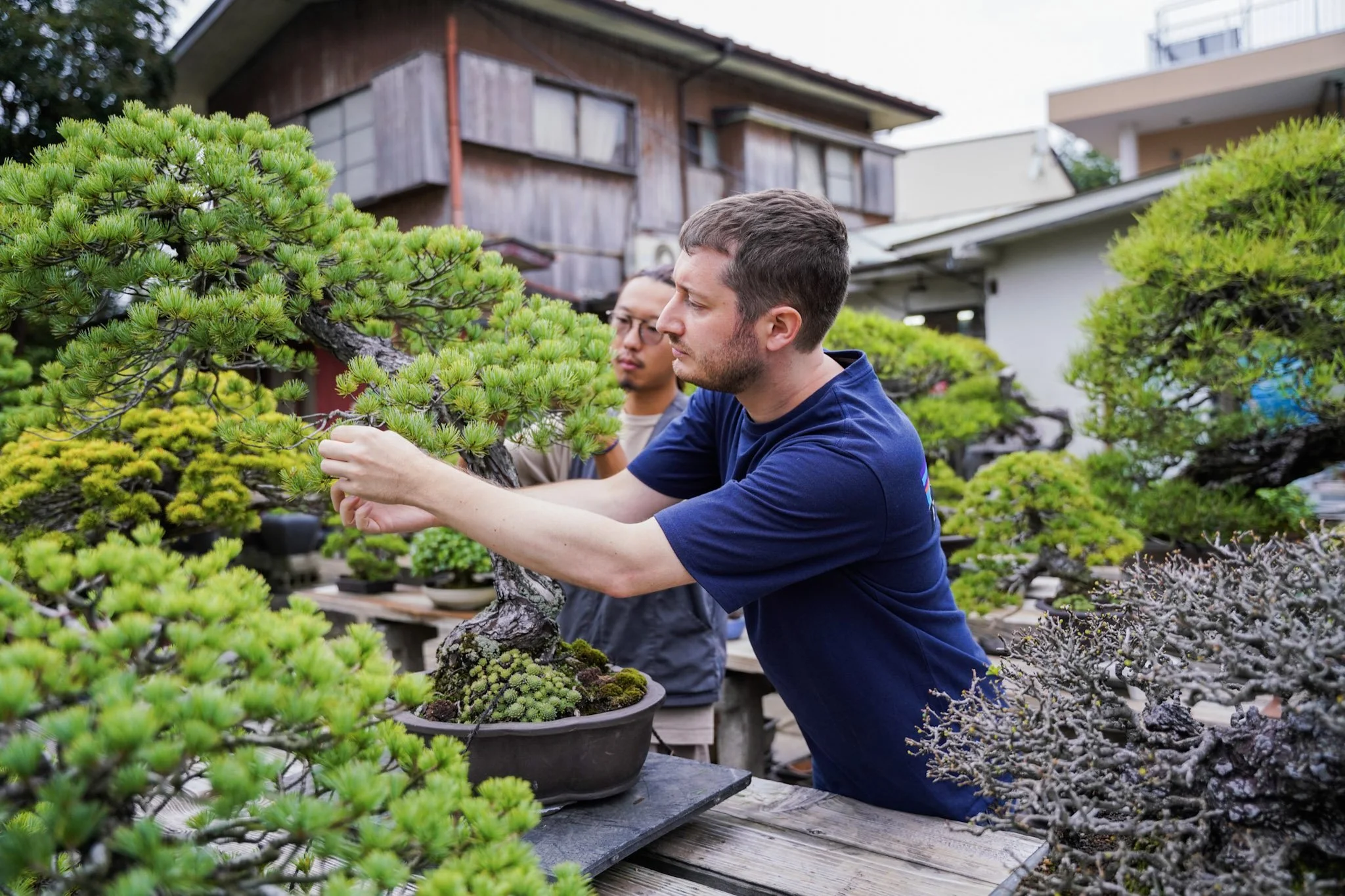 10-Toju-en_089.jpg
