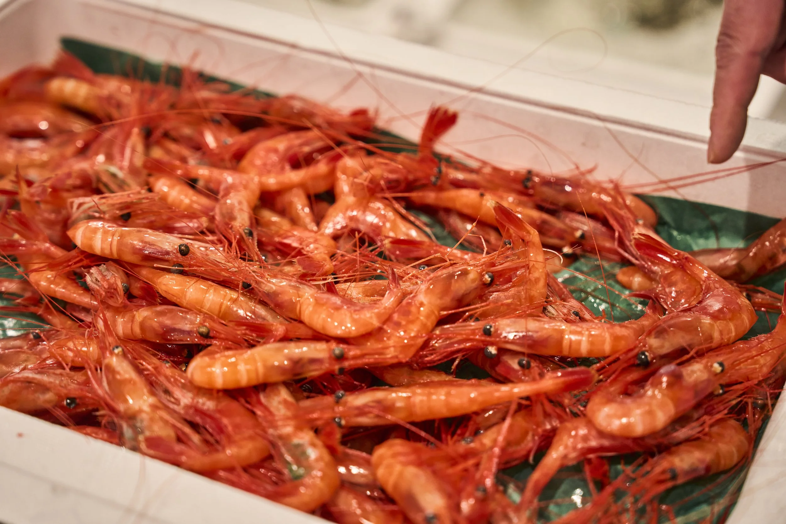 2-Niigata_Fishmarket Tour_016.jpg