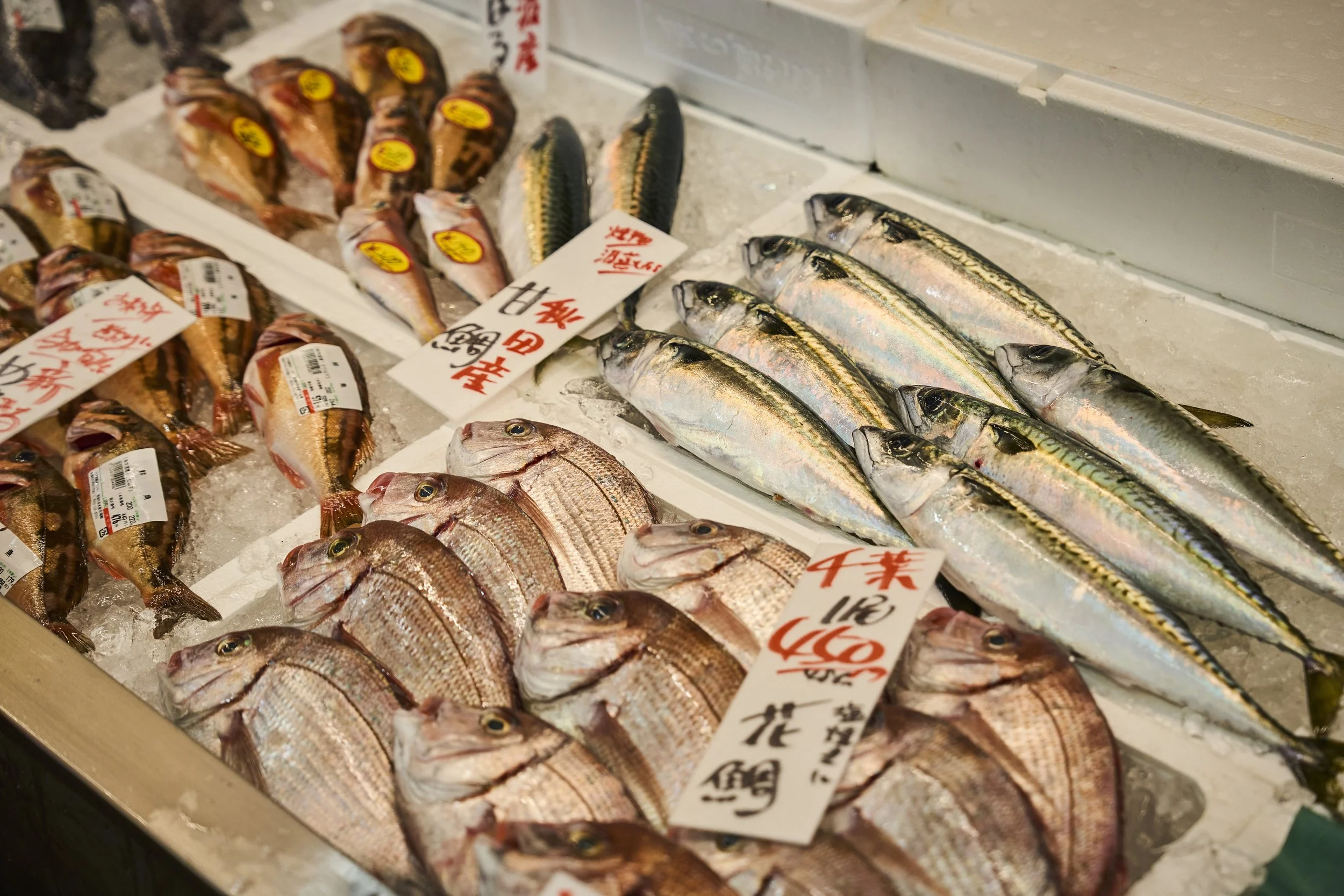 5-Niigata_Fishmarket Tour_010.jpg