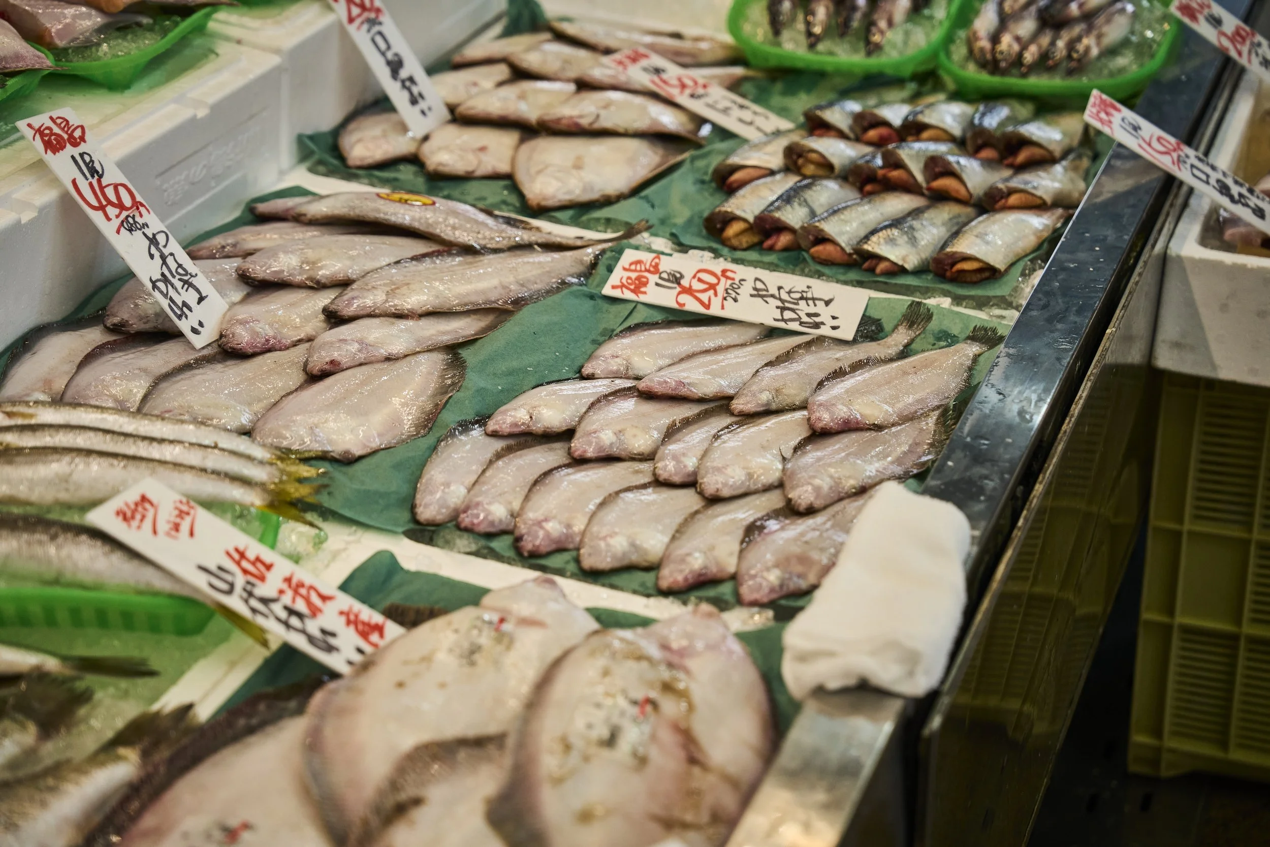 8-Niigata_Fishmarket Tour_009.jpg