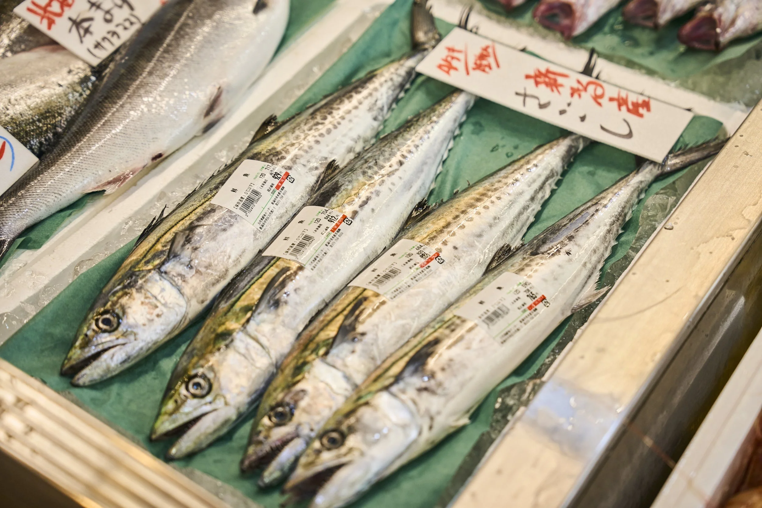 10-Niigata_Fishmarket Tour_008.jpg