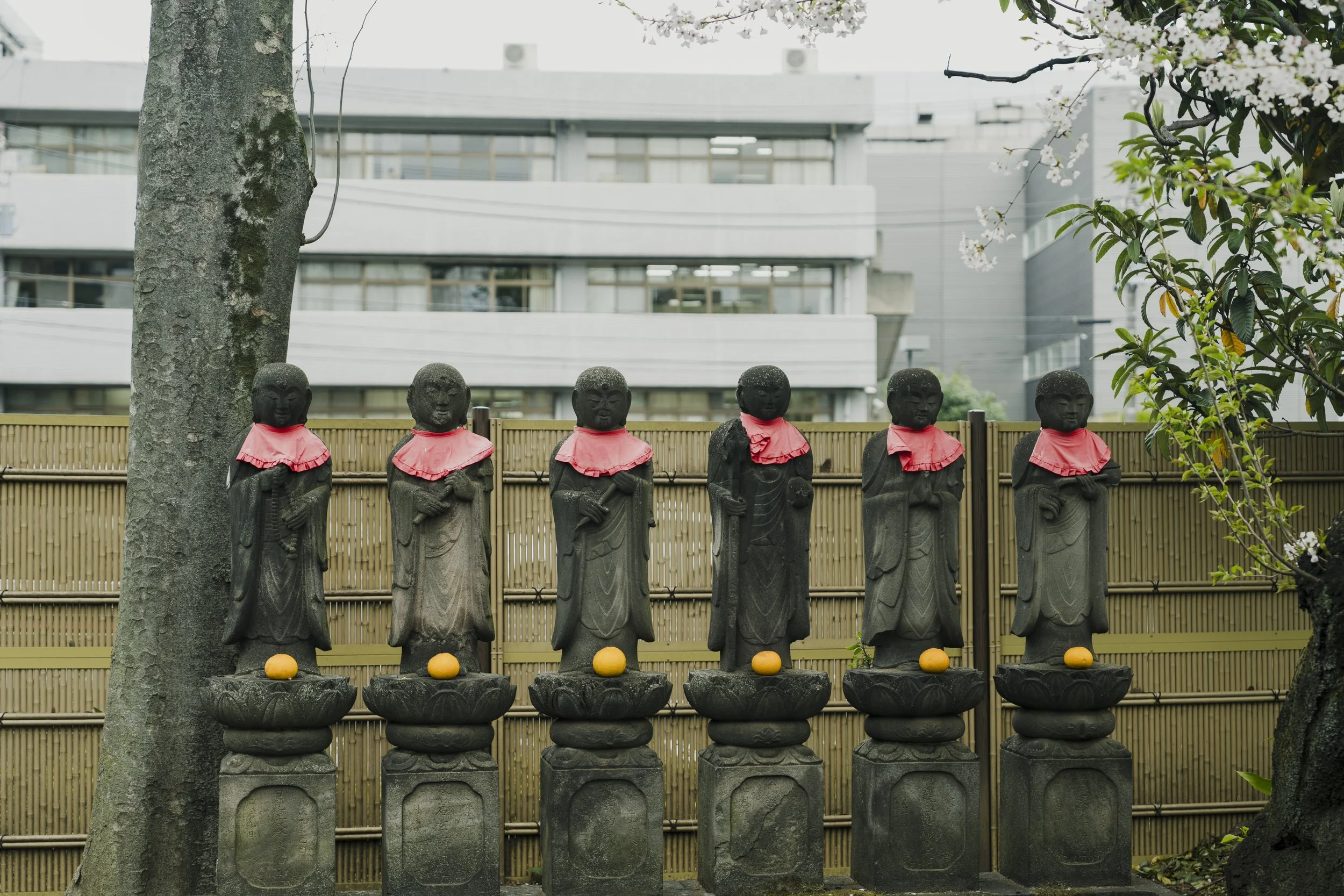 18-Tokyo_Zazen_036.jpg