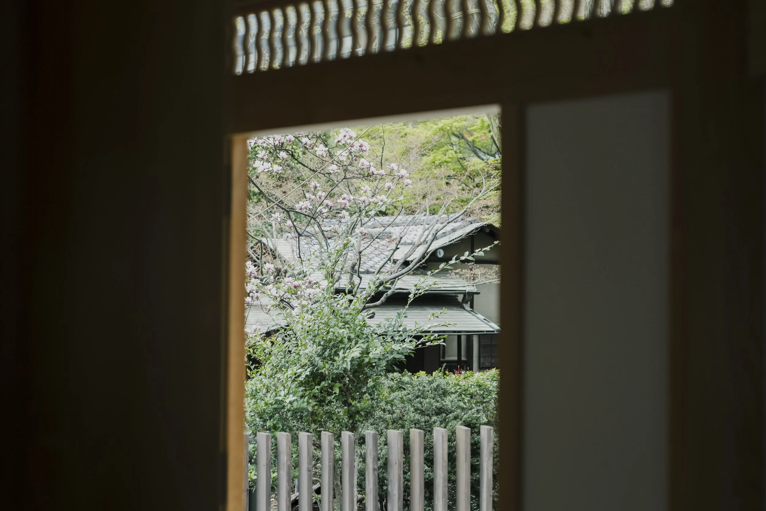 20-Tokyo_Zazen_027.jpg