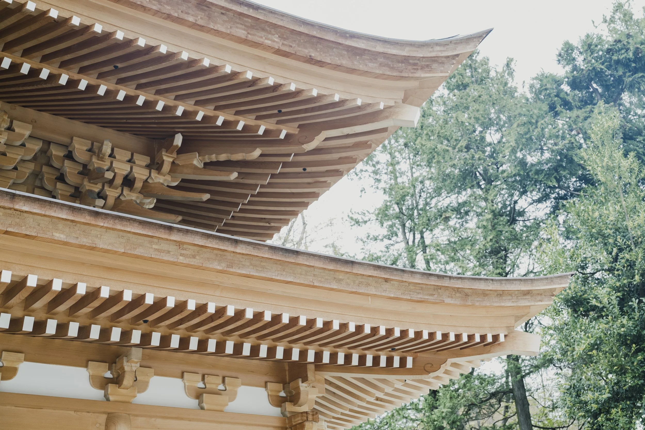 22-Tokyo_Zazen_012.jpg