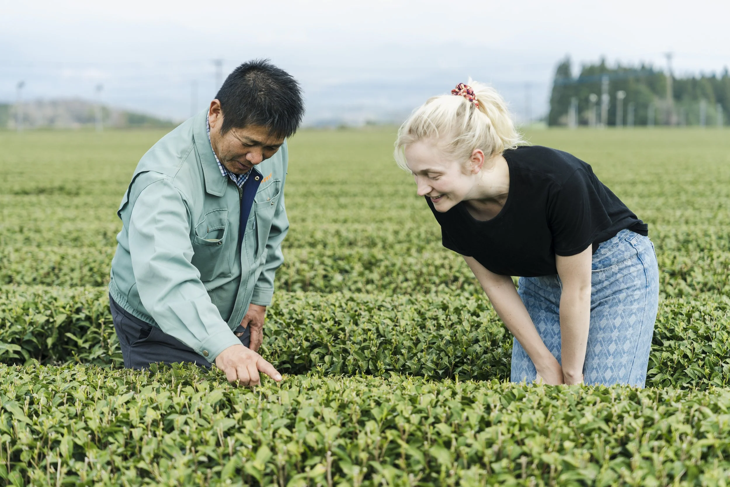 8-Kagoshima_Kirishima Tea Fields + Tasting_052.jpg