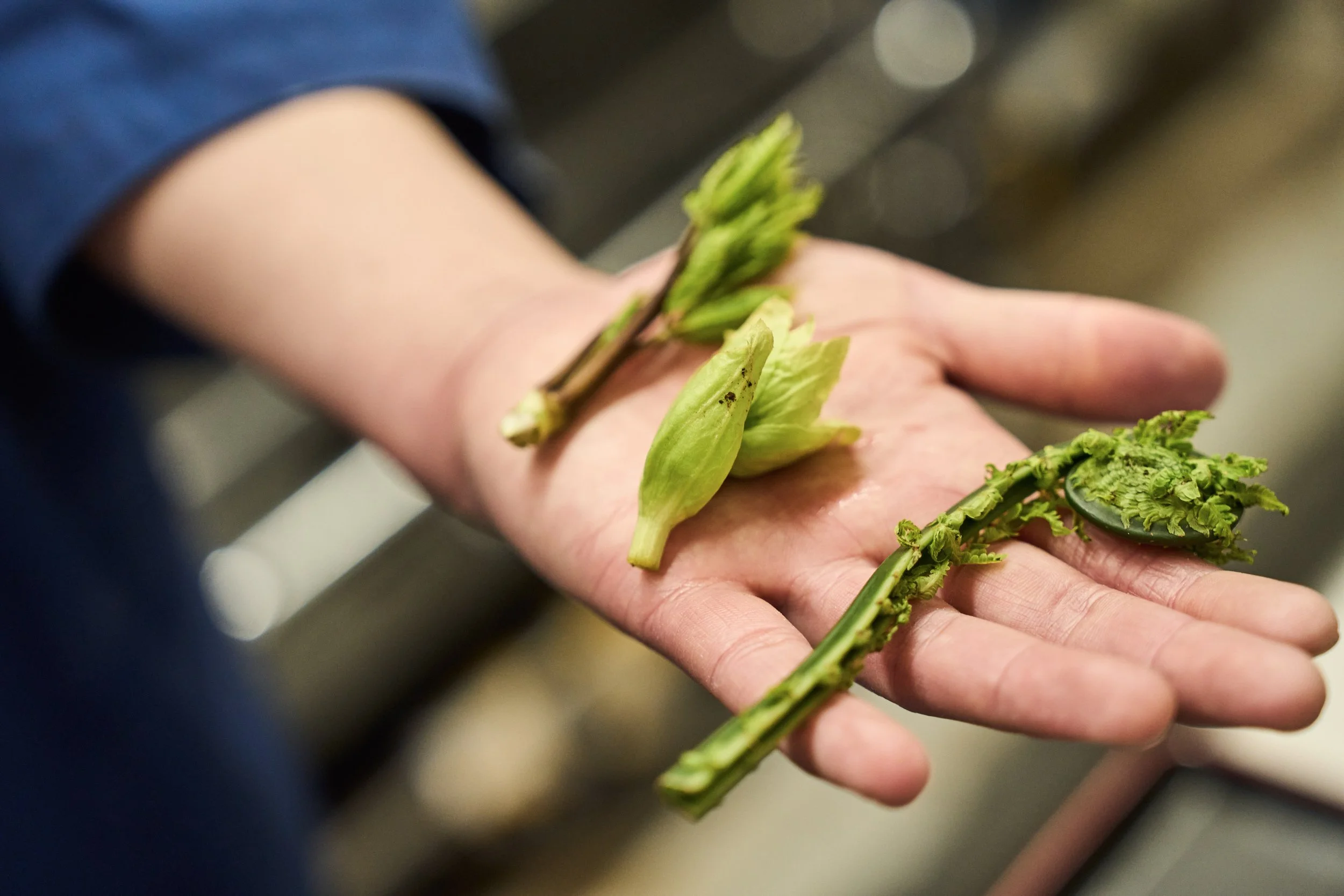 5-Niigata_Soba noodle making_070.jpg