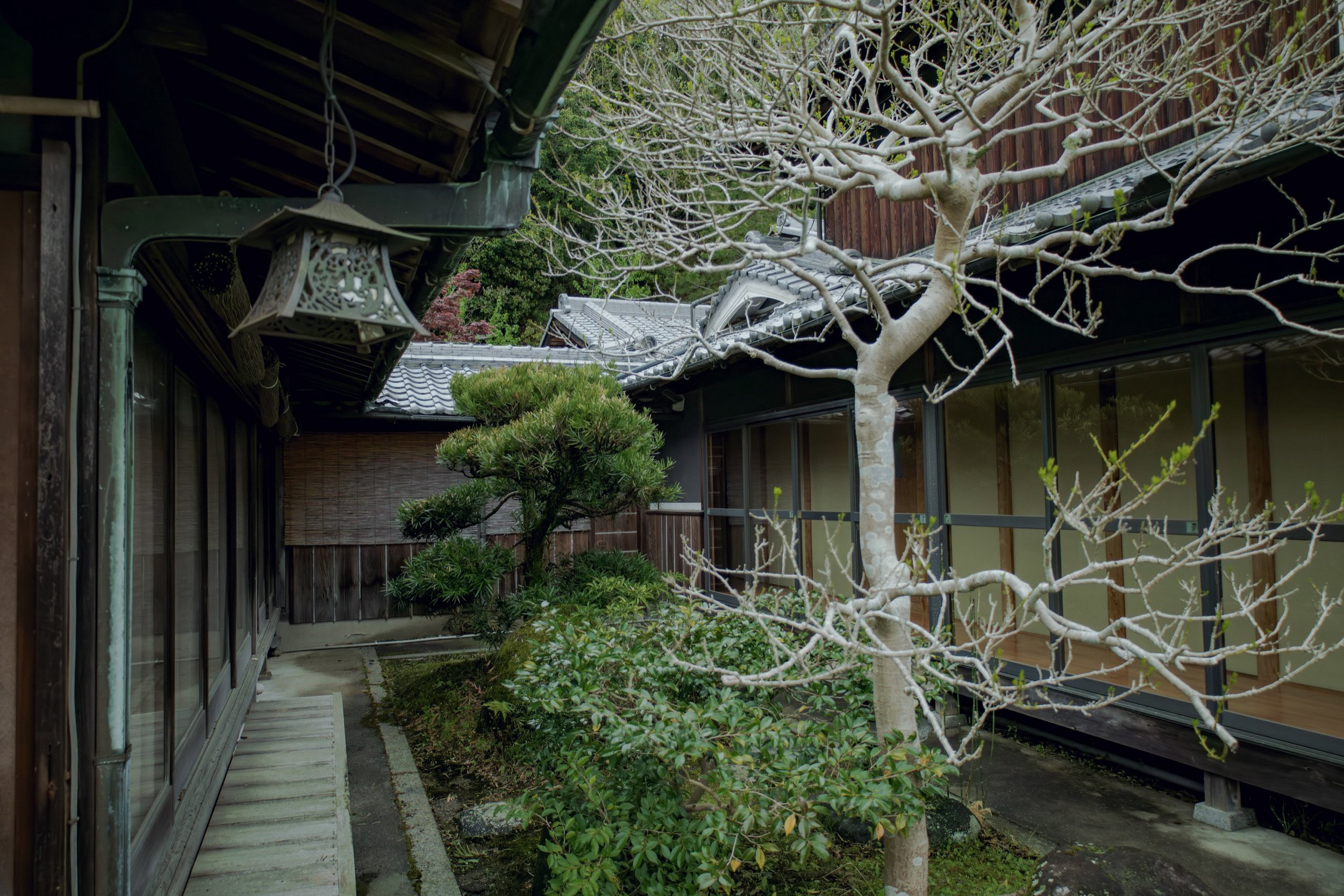 7-NARA(TAKAYAMA)_ChasenTeaWhiskMaking_Suikaen(TanimuraYasaburō)_2560px_085.jpg