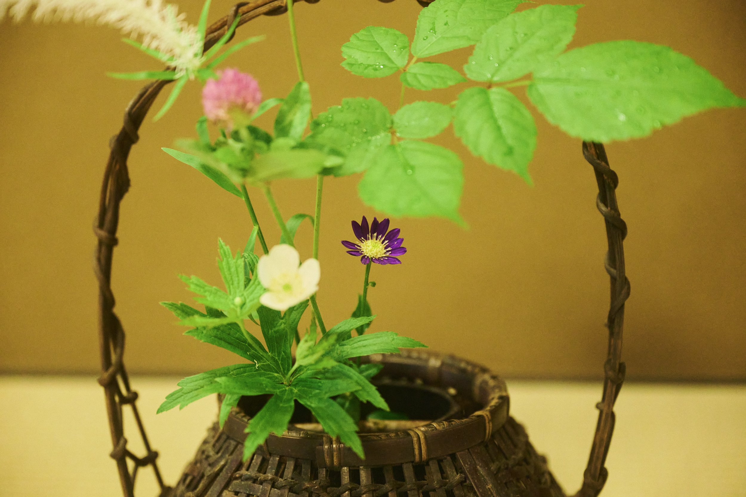 32-Kanazawa_Sowa Tea Ceremony_209.jpg