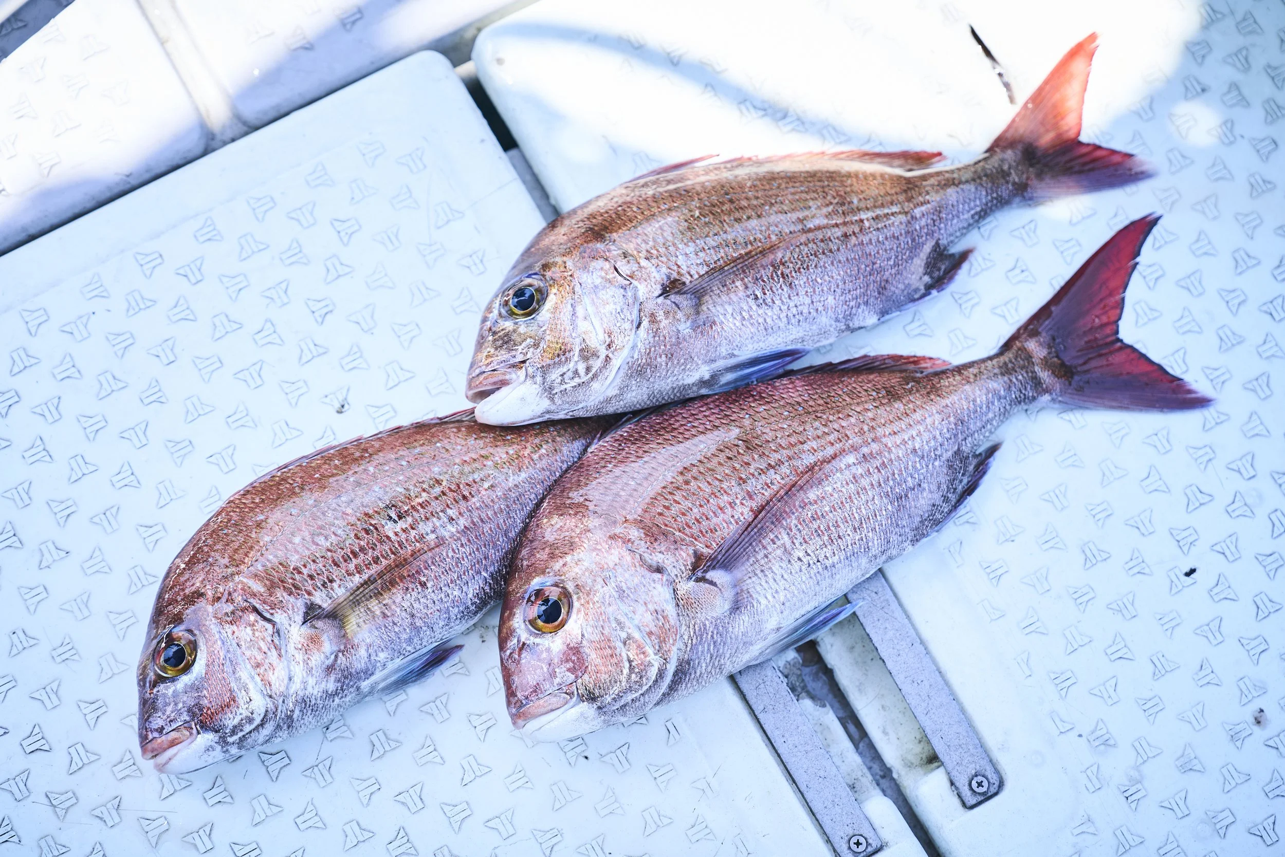 22-Takamatsu_Fishing Boat_157.jpg