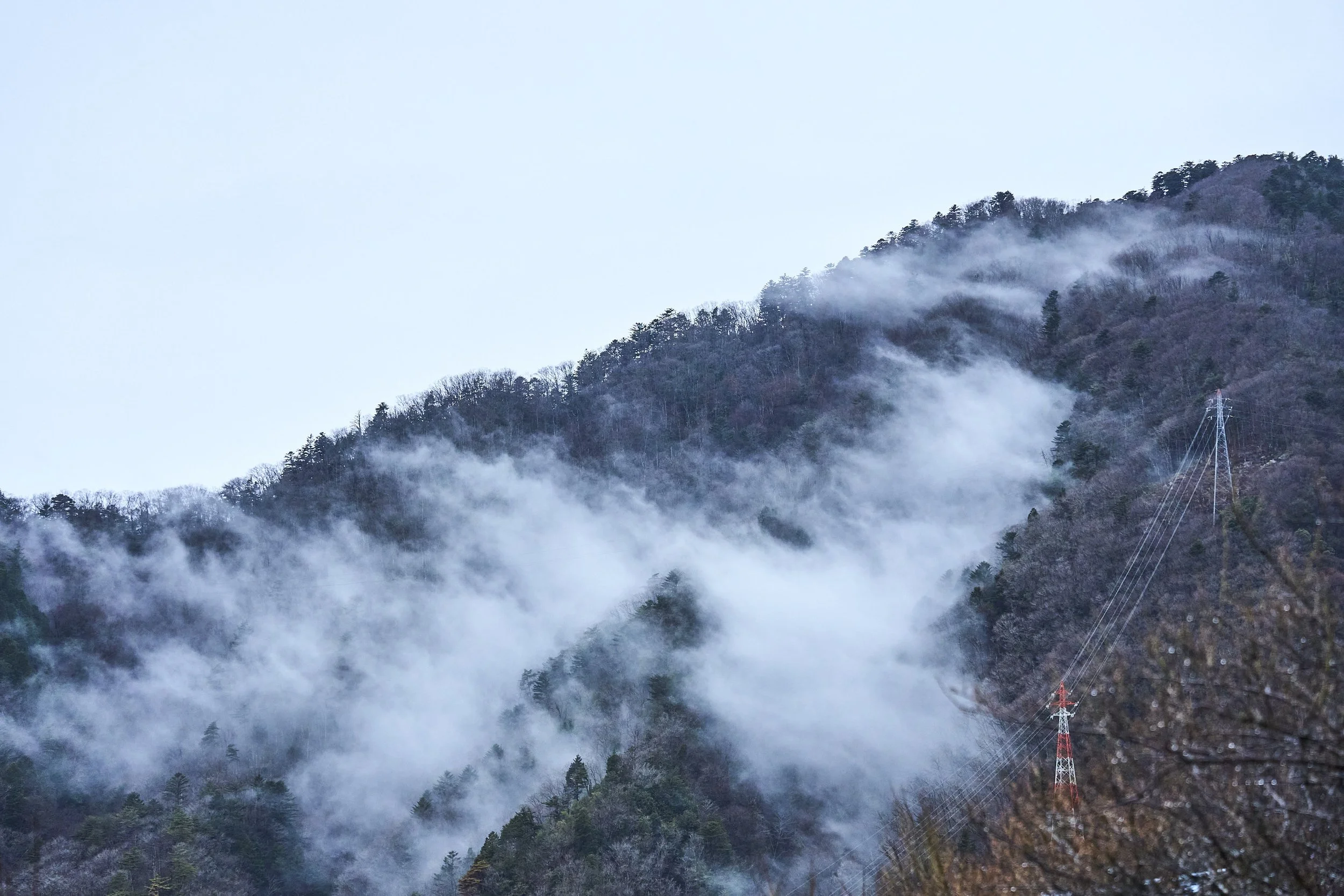17-Nagano_Wood store_075.jpg