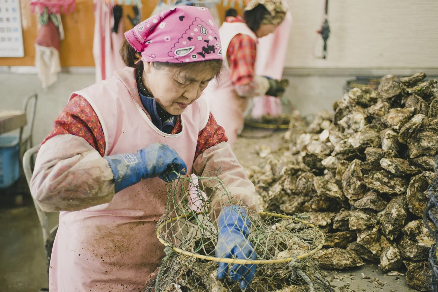 19-iwate_rikuzentaka_kaki_151.jpg