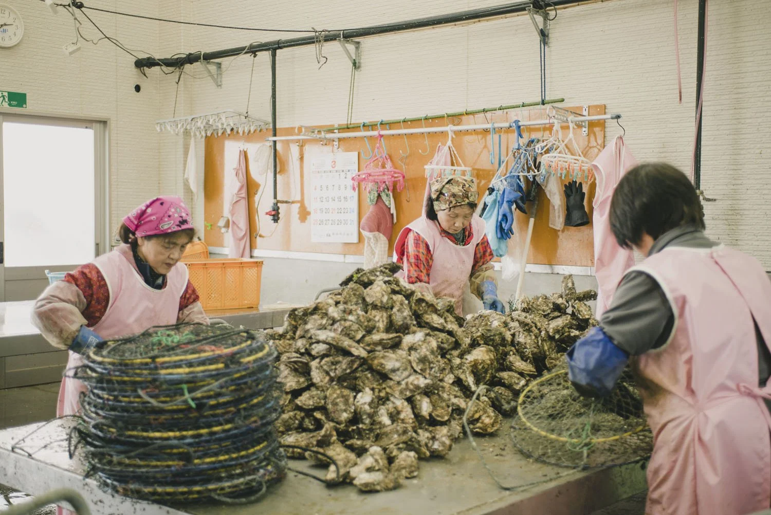 20-iwate_rikuzentaka_kaki_154.jpg