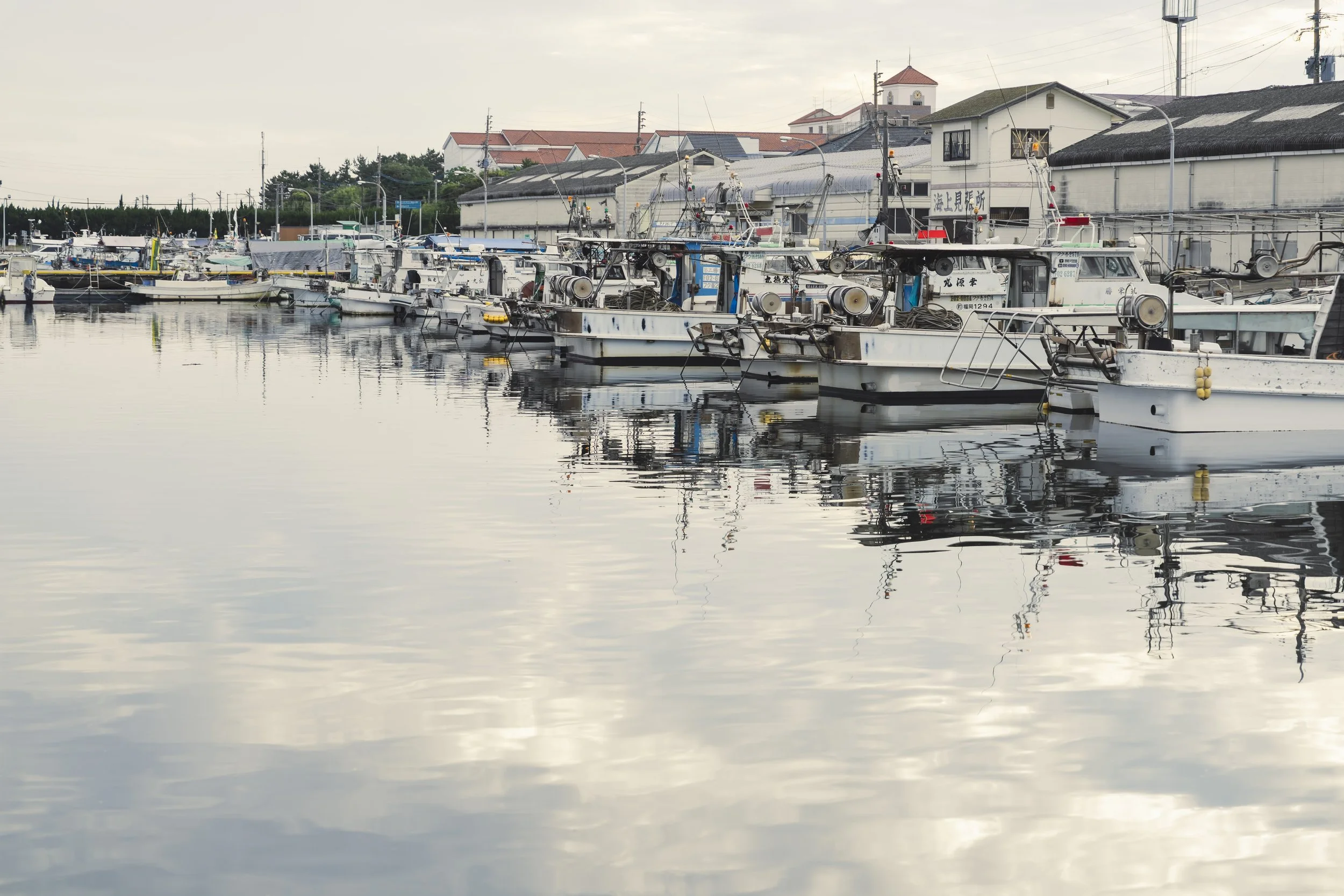 1-Fukuoka_Fishing_003.jpg