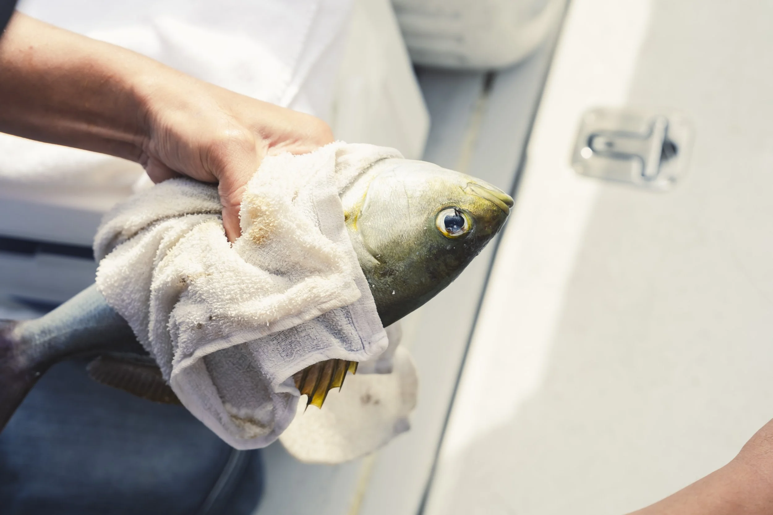 18-Fukuoka_Fishing_156.jpg