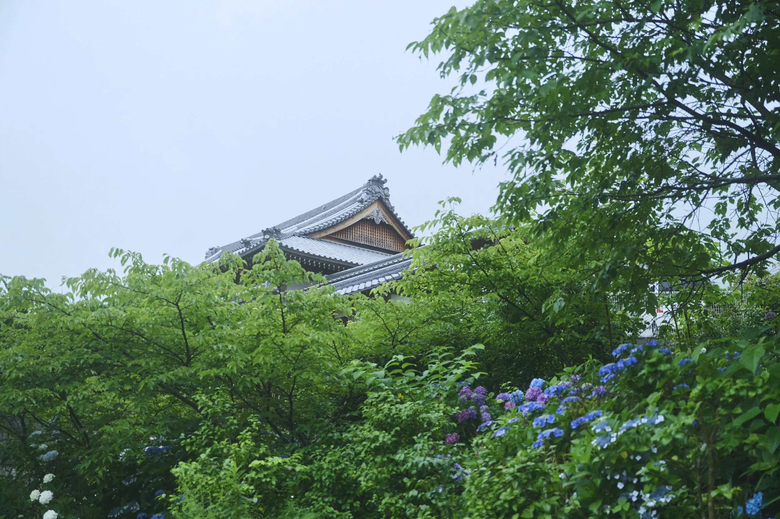 26-Hiroshima_Zazen Meditaion_284.jpg