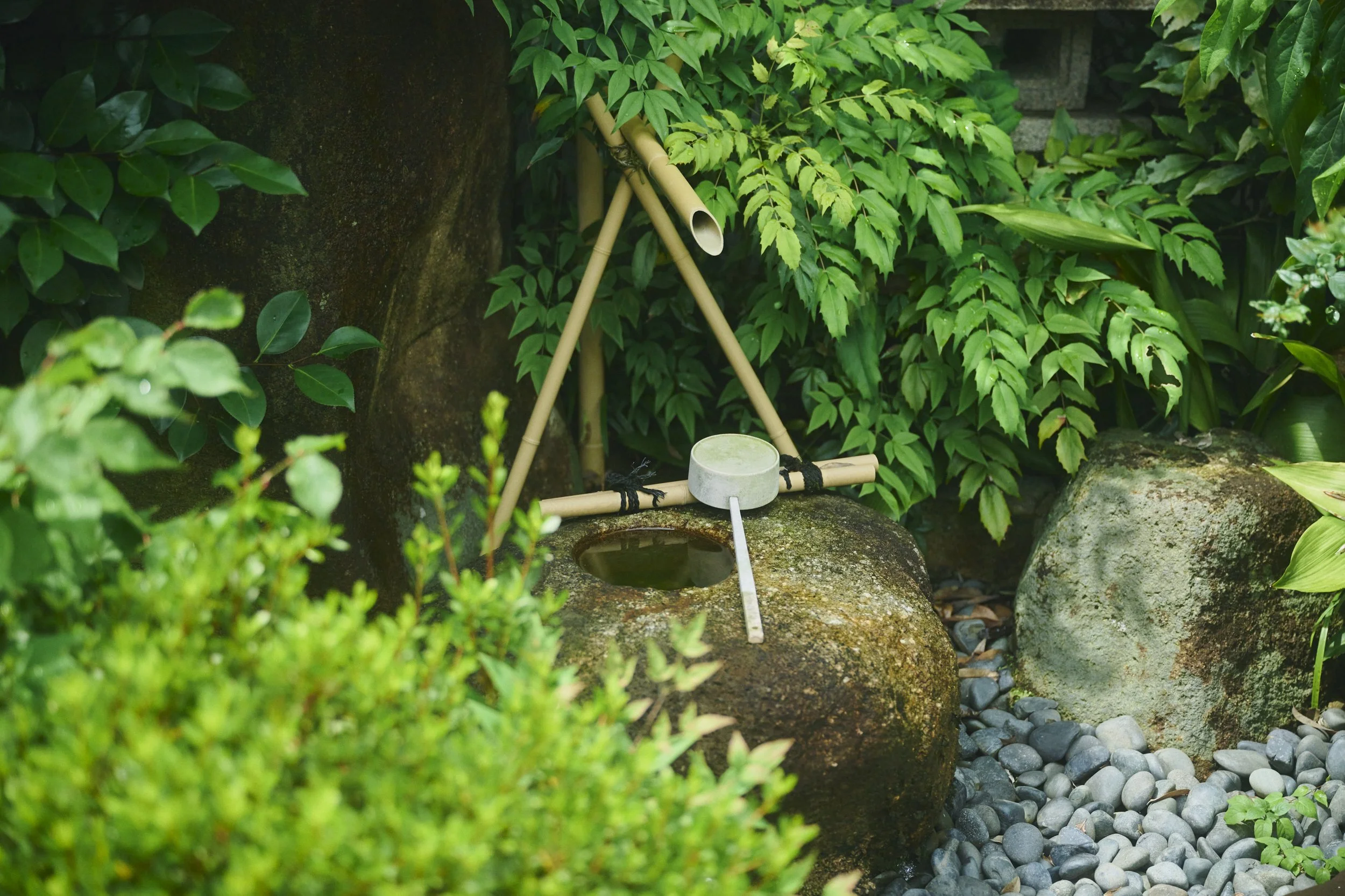 30-Hiroshima_Tea Ceremony_252.jpg