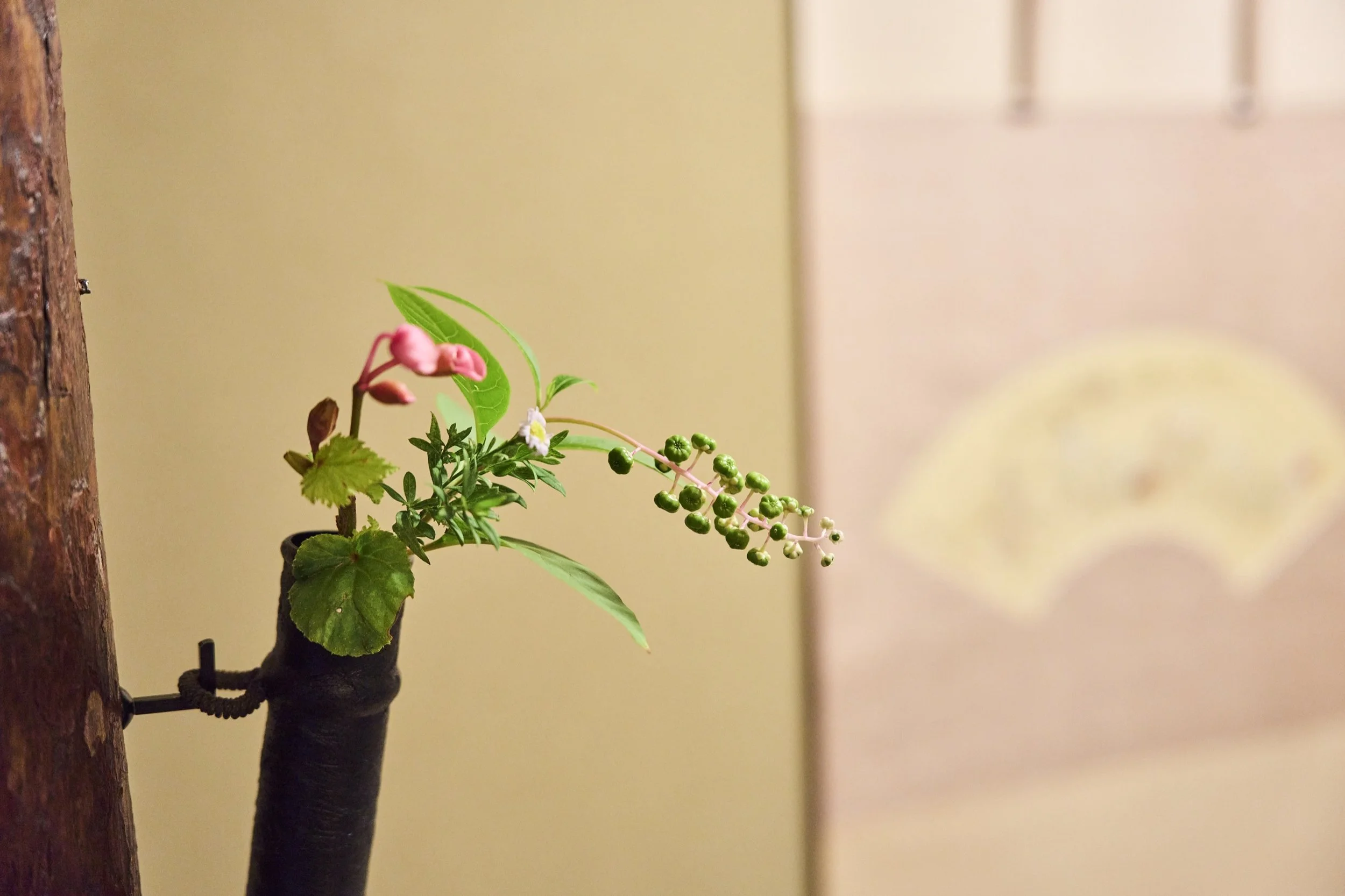 4-NARA_TeaCeremony_Urasenke南口宗優_2560px_132.jpg