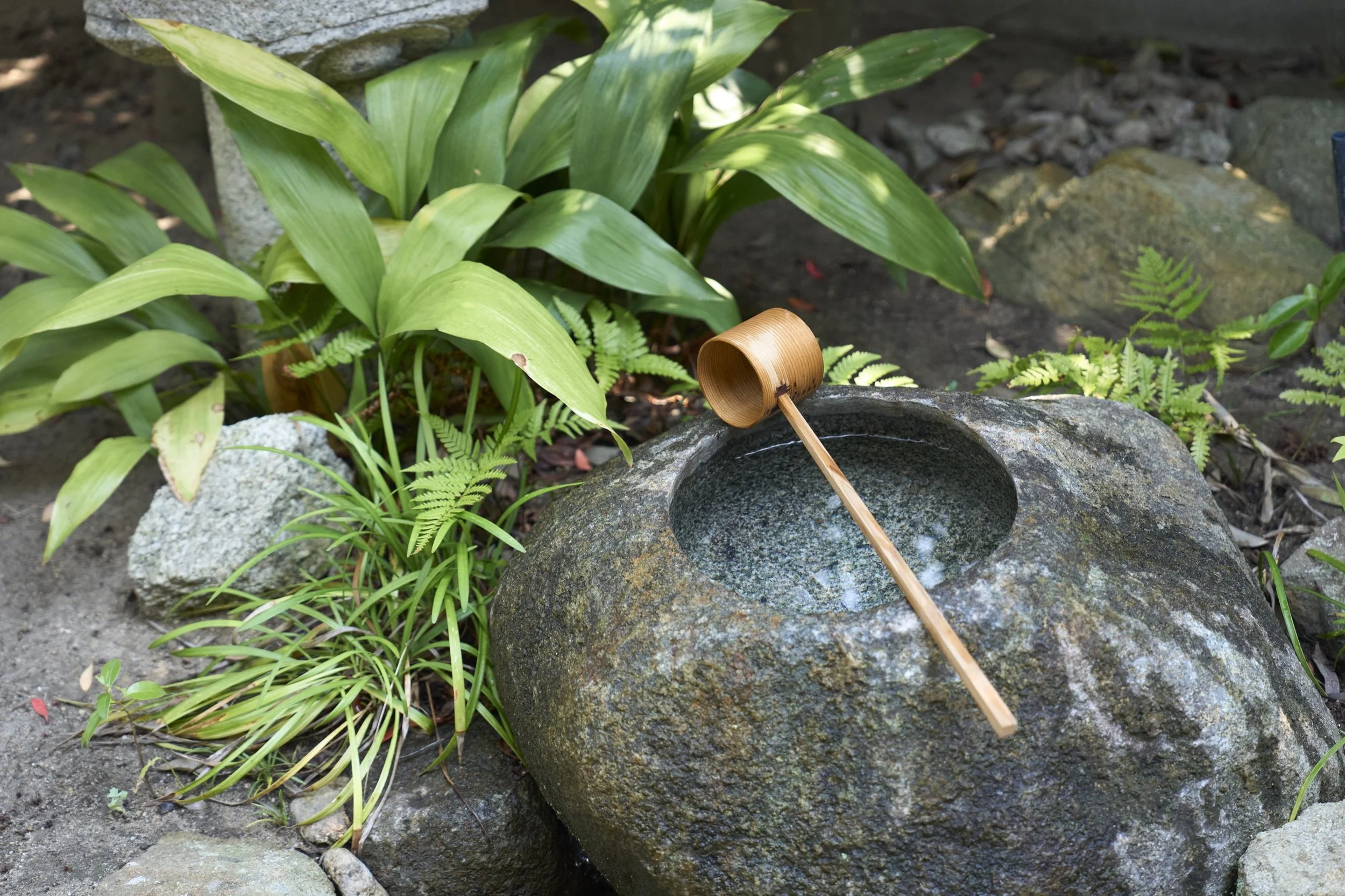 25-NARA_TeaCeremony_Urasenke南口宗優_2560px_020.jpg
