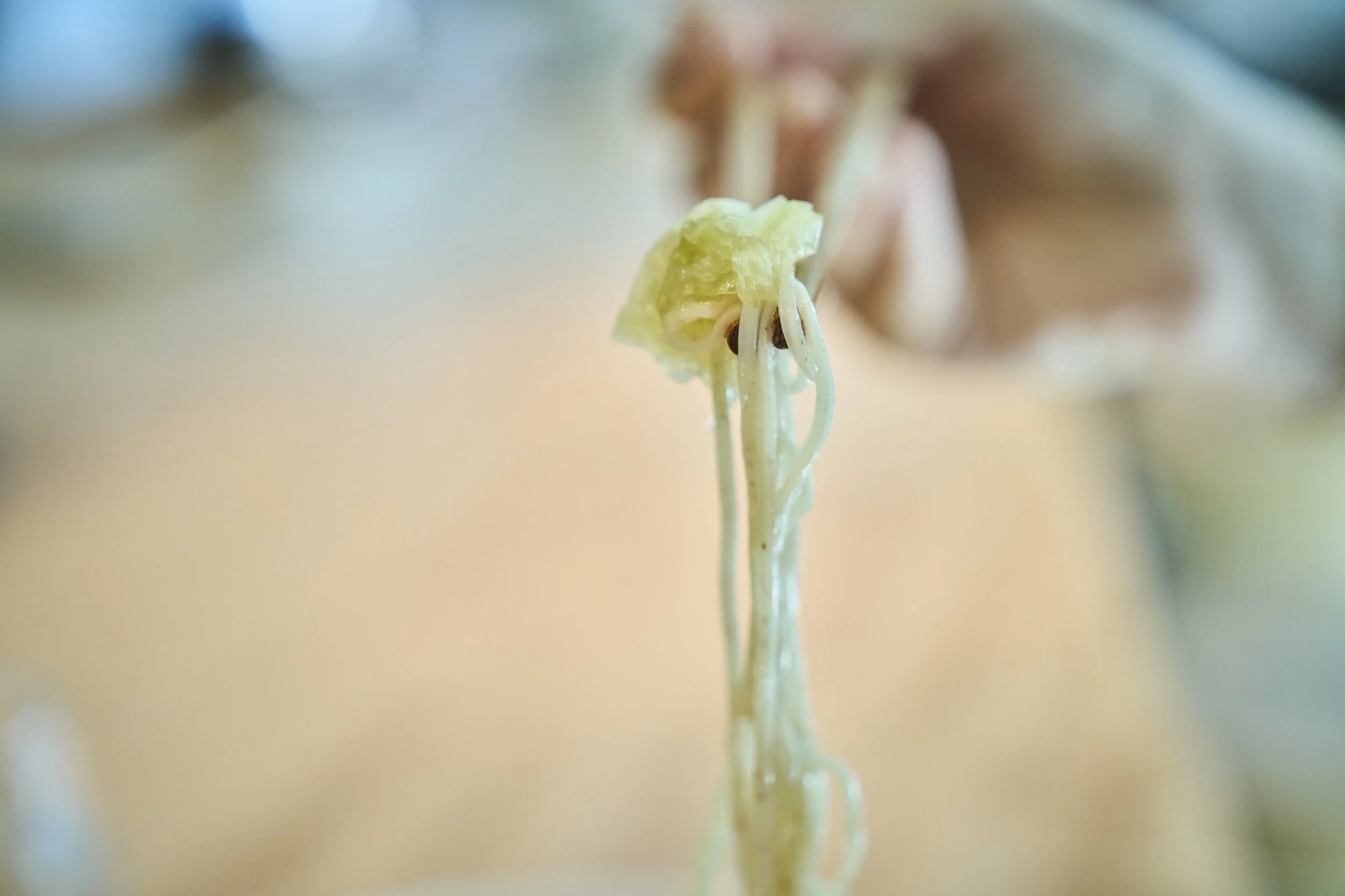 15-KYOTO_KonbuRamen_Kiichi_2560px_086.jpg