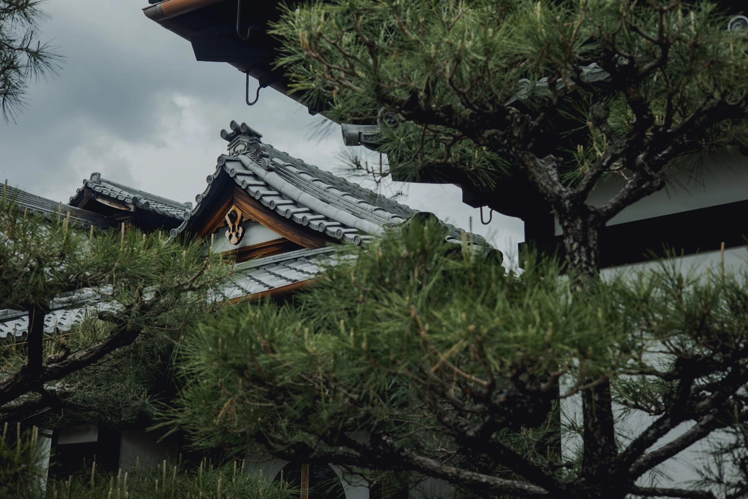 1-KYOTO_ZazenTeaCeremonyShōjinRyōri_Kōmyōin_2560px_002.jpg