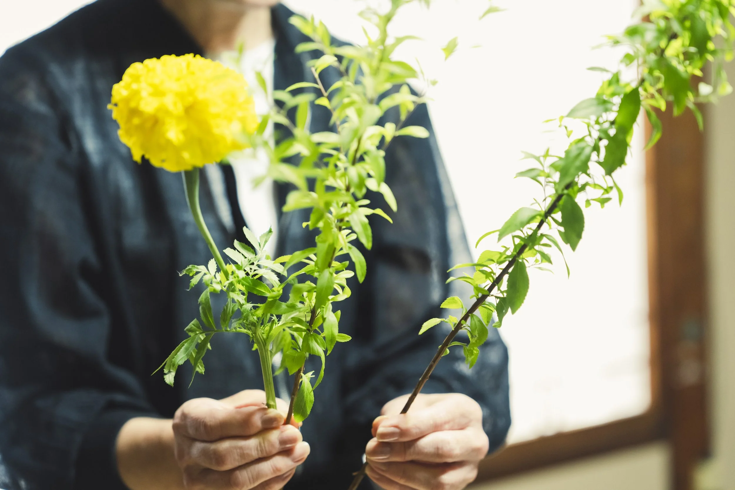 9-Kanazawa_Ikebana Sougetsuryu_036.jpg