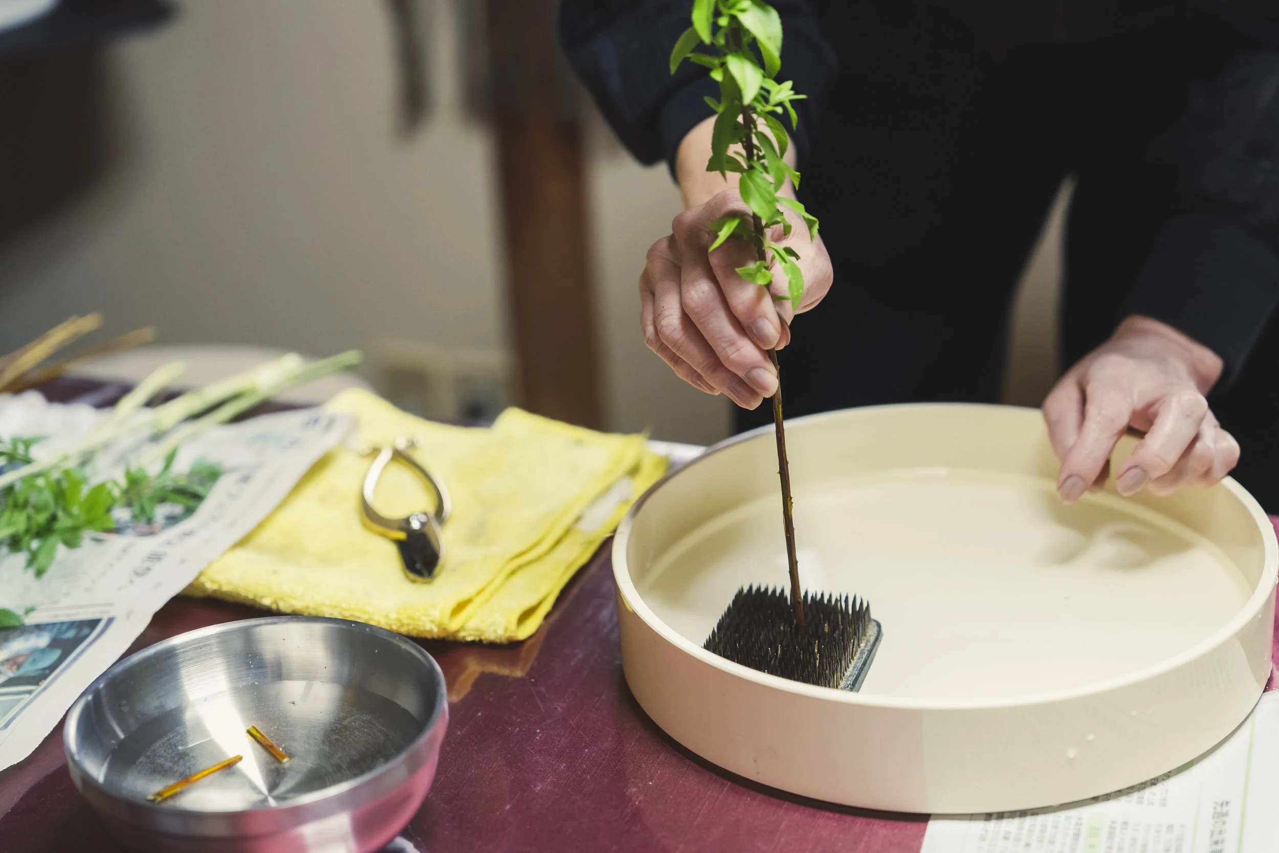 10-Kanazawa_Ikebana Sougetsuryu_030.jpg