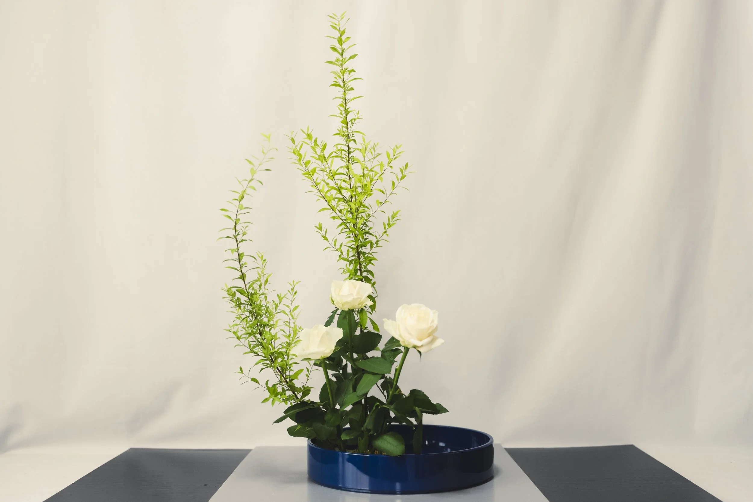20-Kanazawa_Ikebana Sougetsuryu_101.jpg