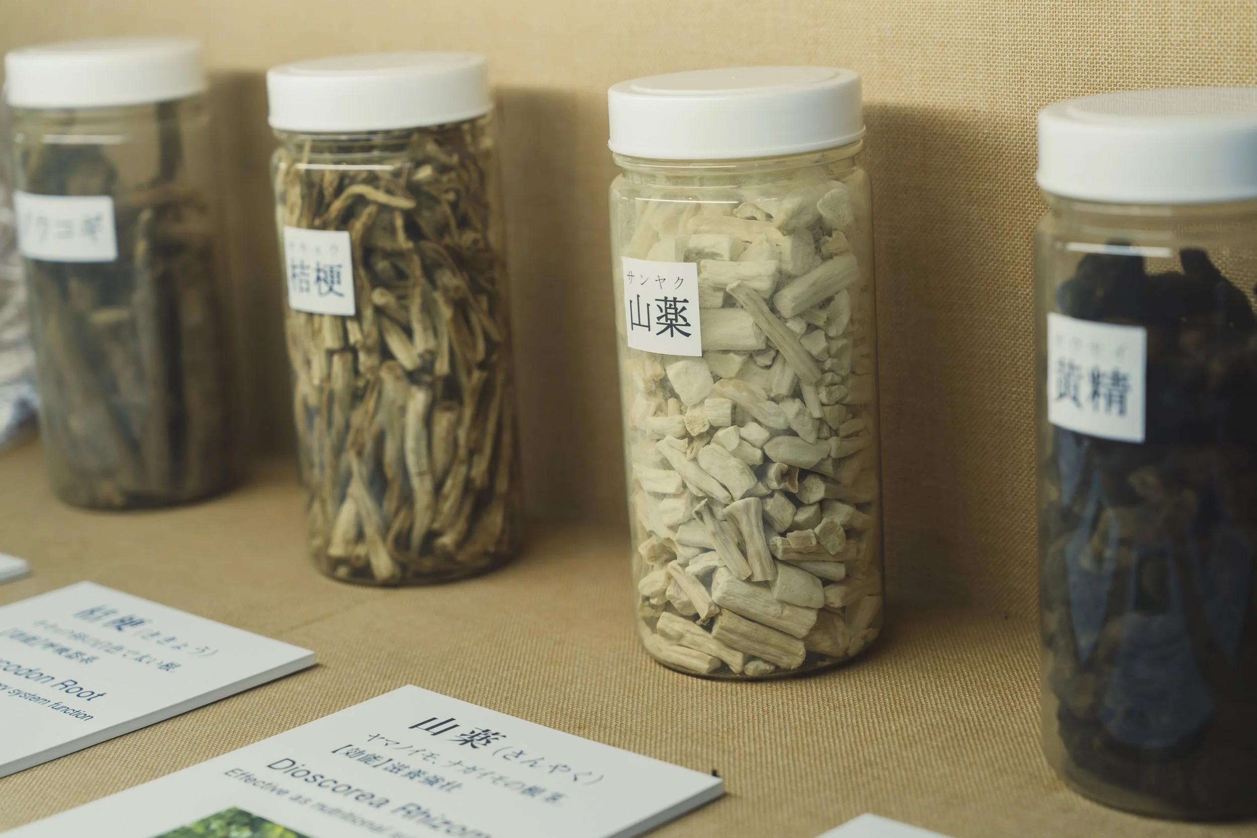 6-Kanazawa_Kampo Medicine_012.jpg