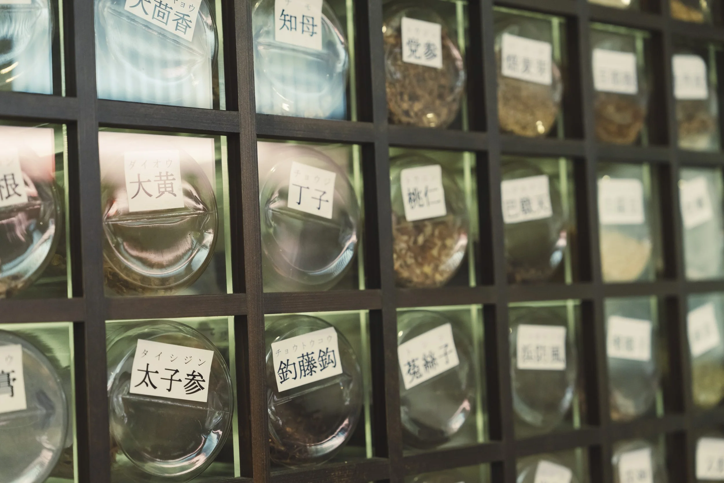 9-Kanazawa_Kampo Medicine_039.jpg