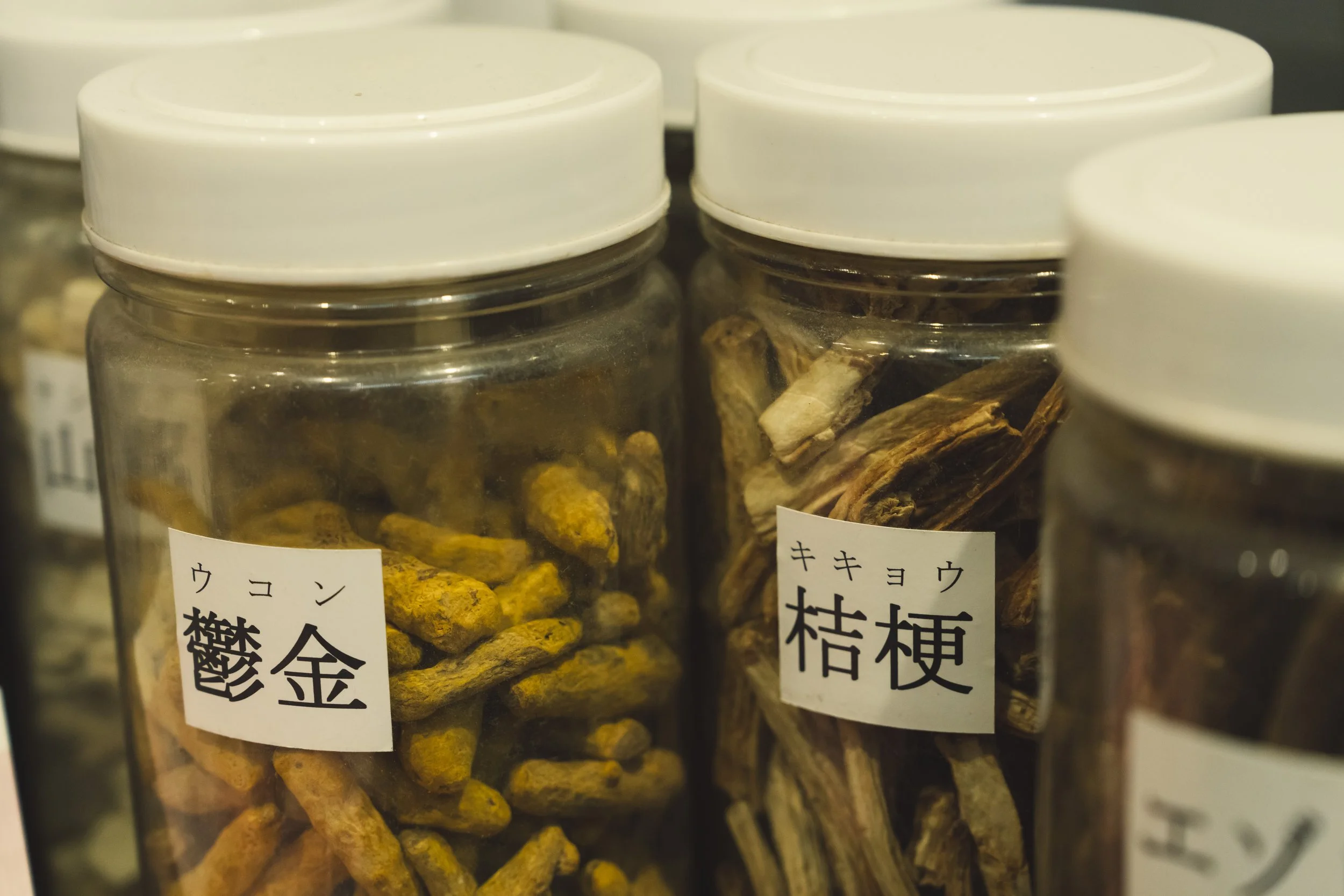 18-Kanazawa_Kampo Medicine_081.jpg