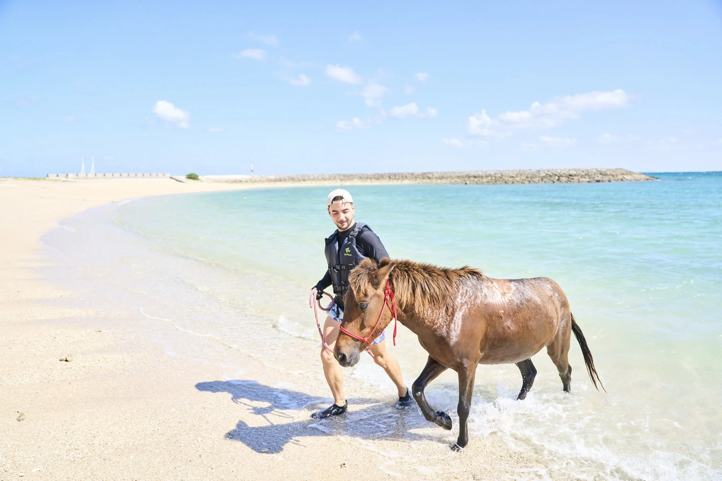 16-OKINAWA_HorseFarm_Umikaze_2560px_187.jpg
