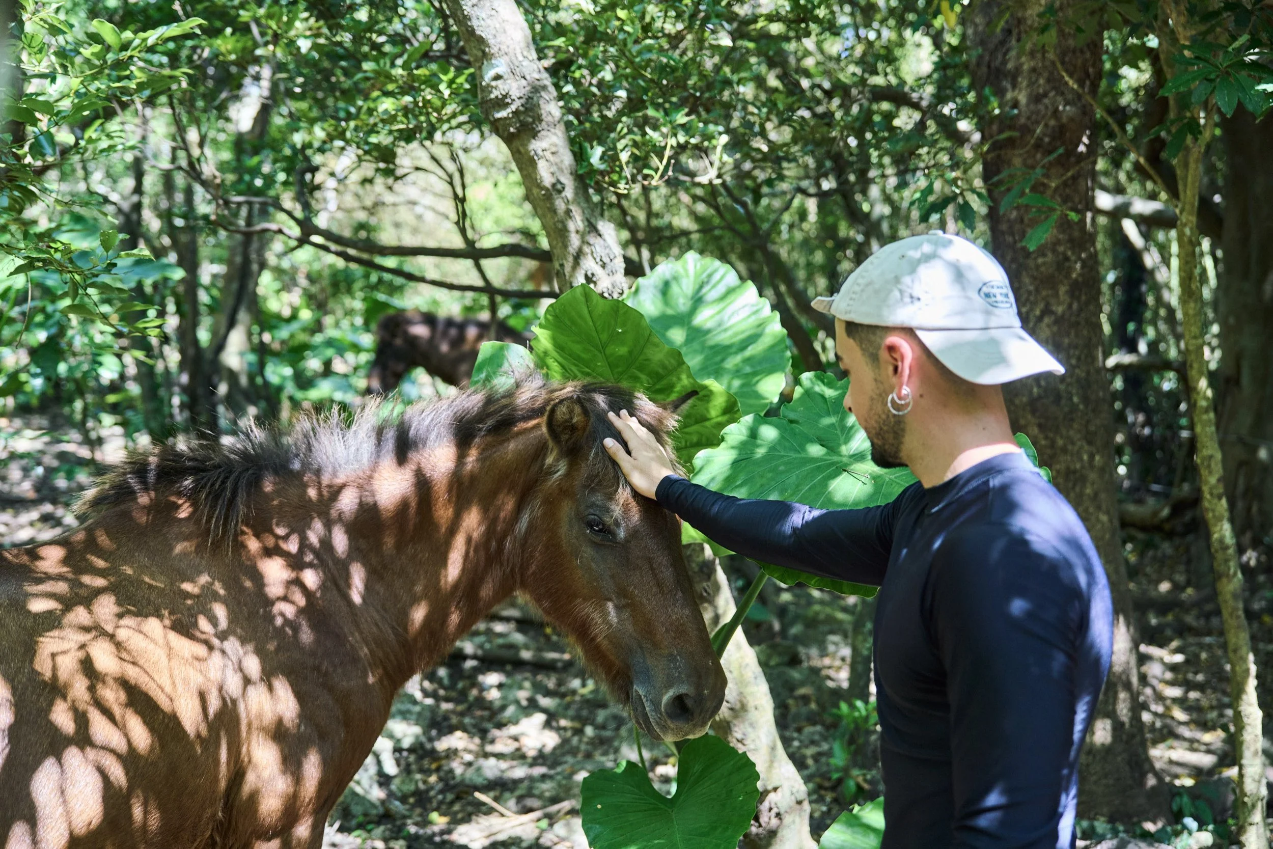 21-OKINAWA_HorseFarm_Umikaze_2560px_226.jpg