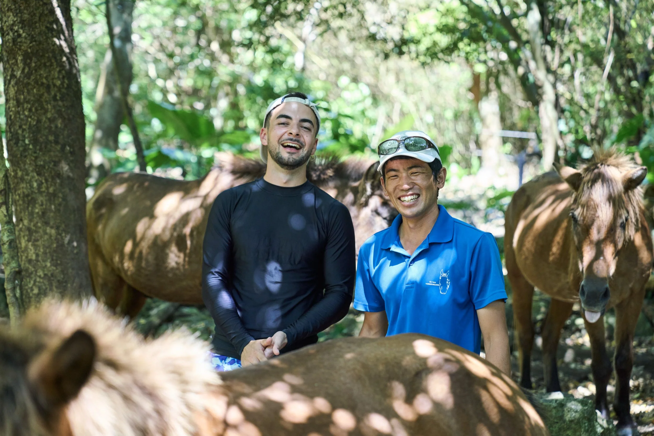 24-OKINAWA_HorseFarm_Umikaze_2560px_264.jpg
