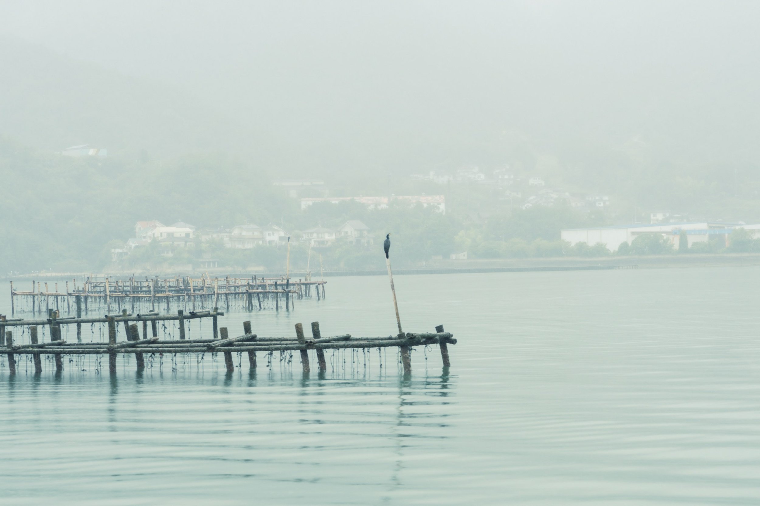 5-HIROSHIMA_OysterFarming_KanedaSuisan_2560px_016.jpg