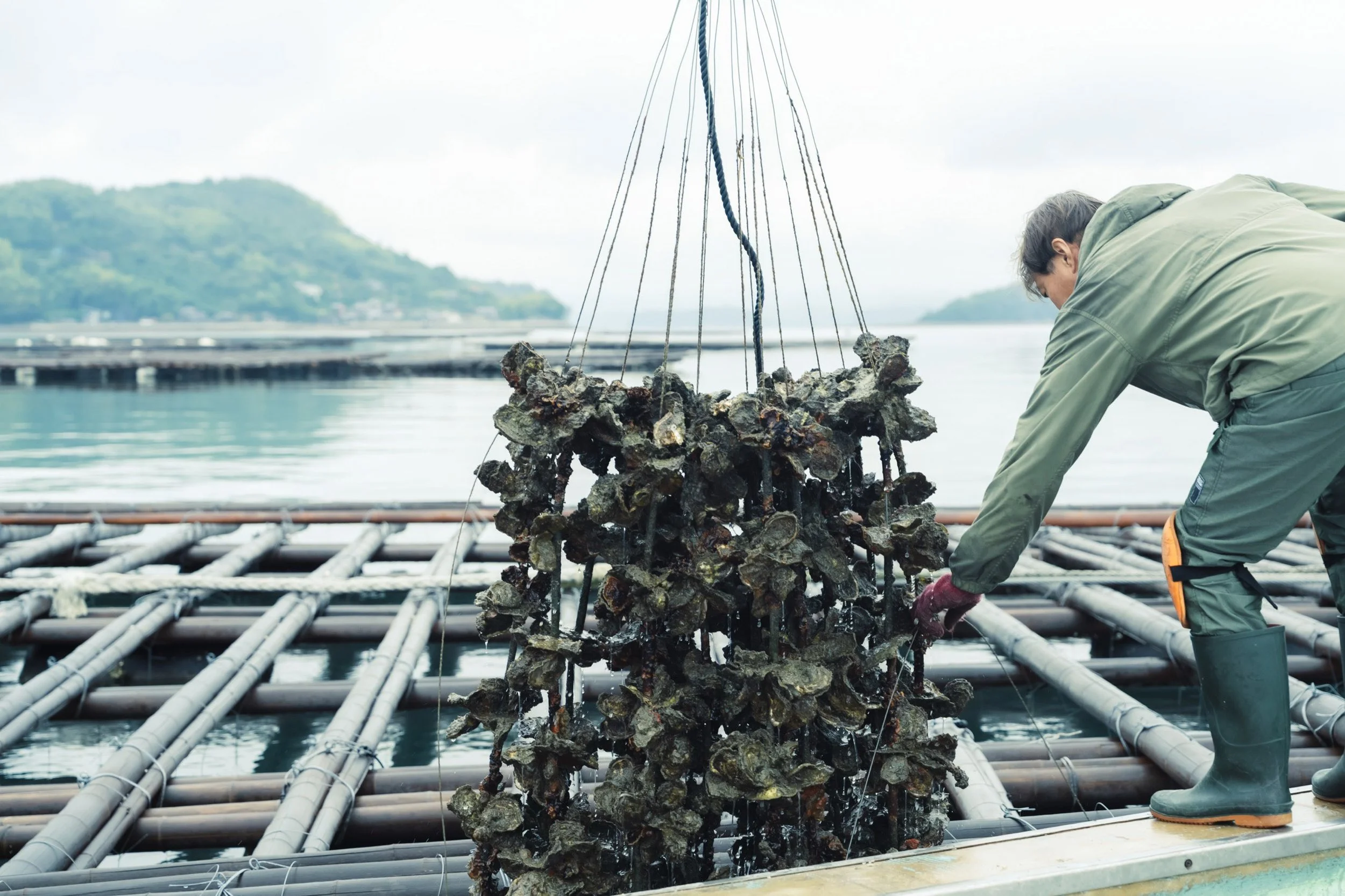 24-HIROSHIMA_OysterFarming_KanedaSuisan_2560px_102.jpg