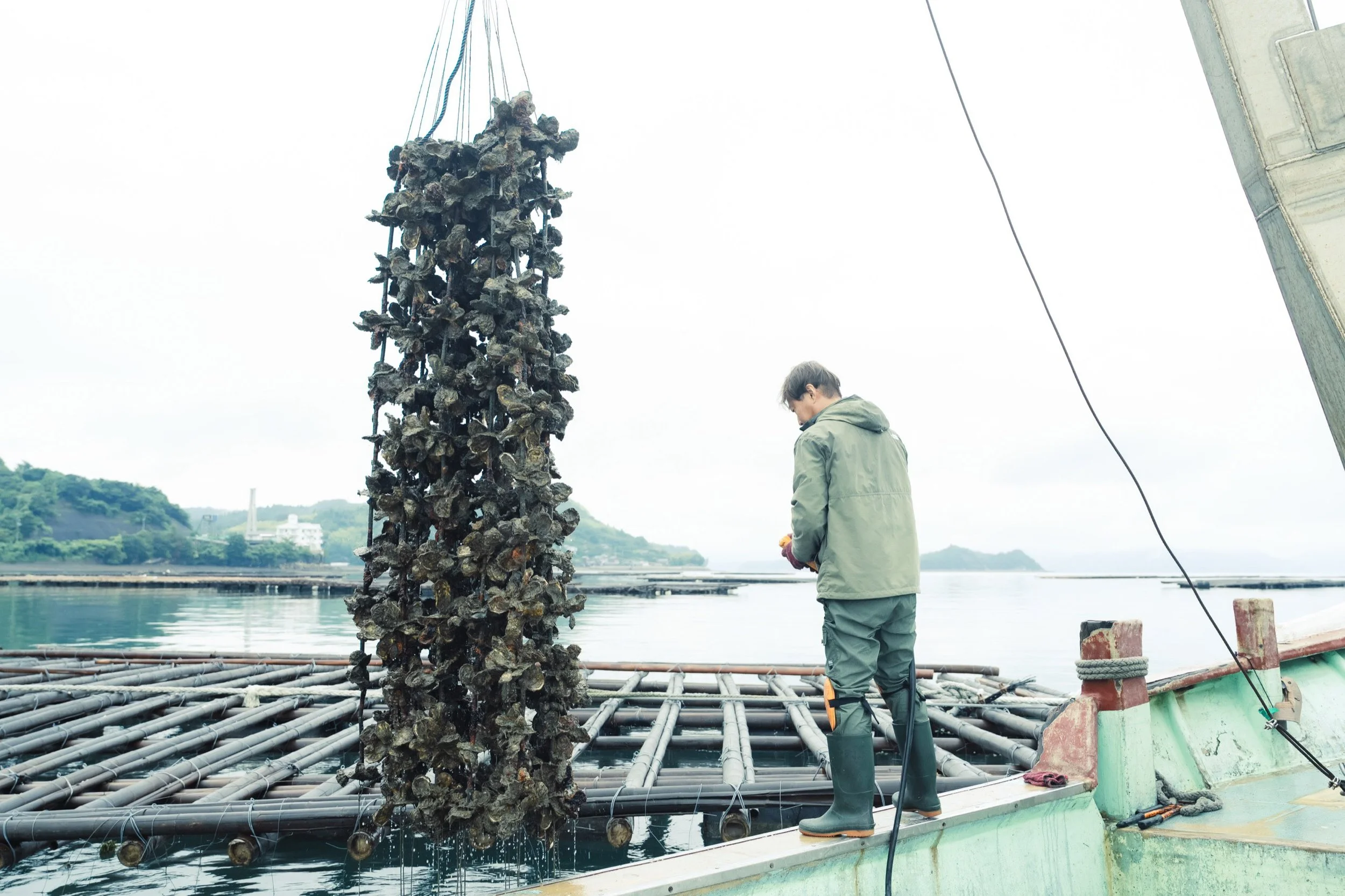 25-HIROSHIMA_OysterFarming_KanedaSuisan_2560px_107.jpg